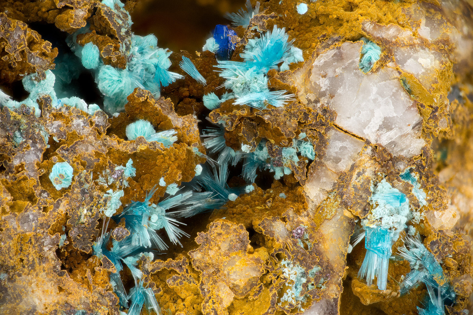 Schulenbergite, Serpierite
FOV = 3.7 mm
(Autor: Doug)