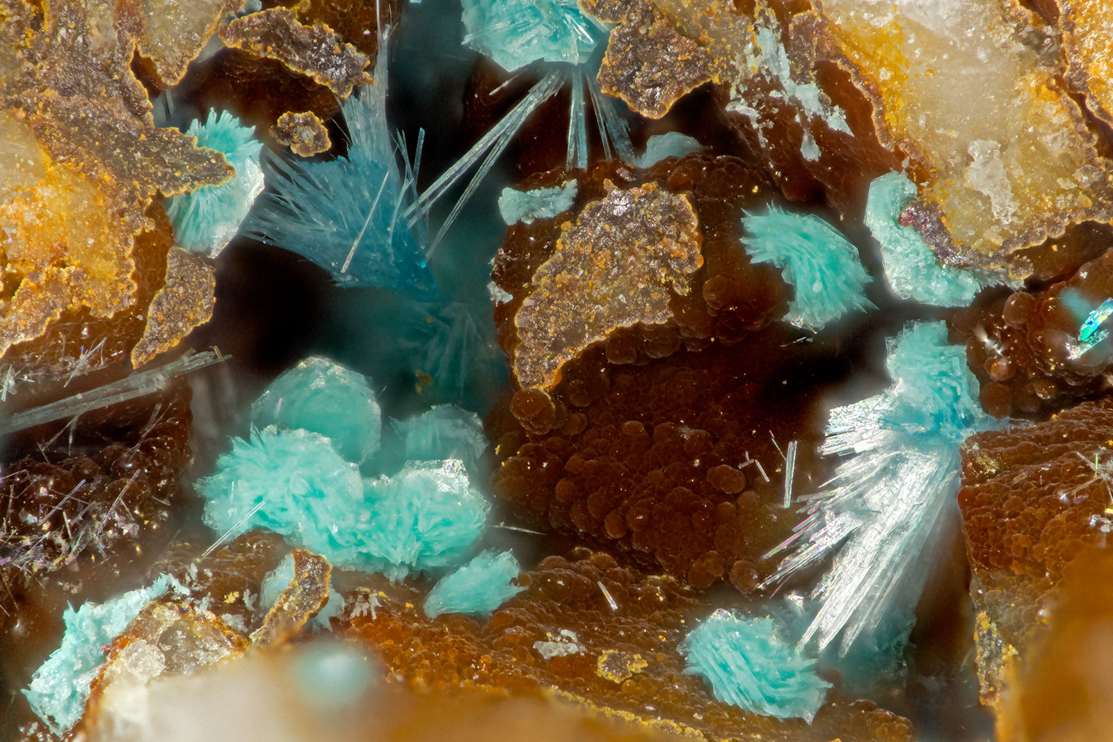 Schulenbergite, Serpierite
FOV = 1.7 mm
(Autor: Doug)