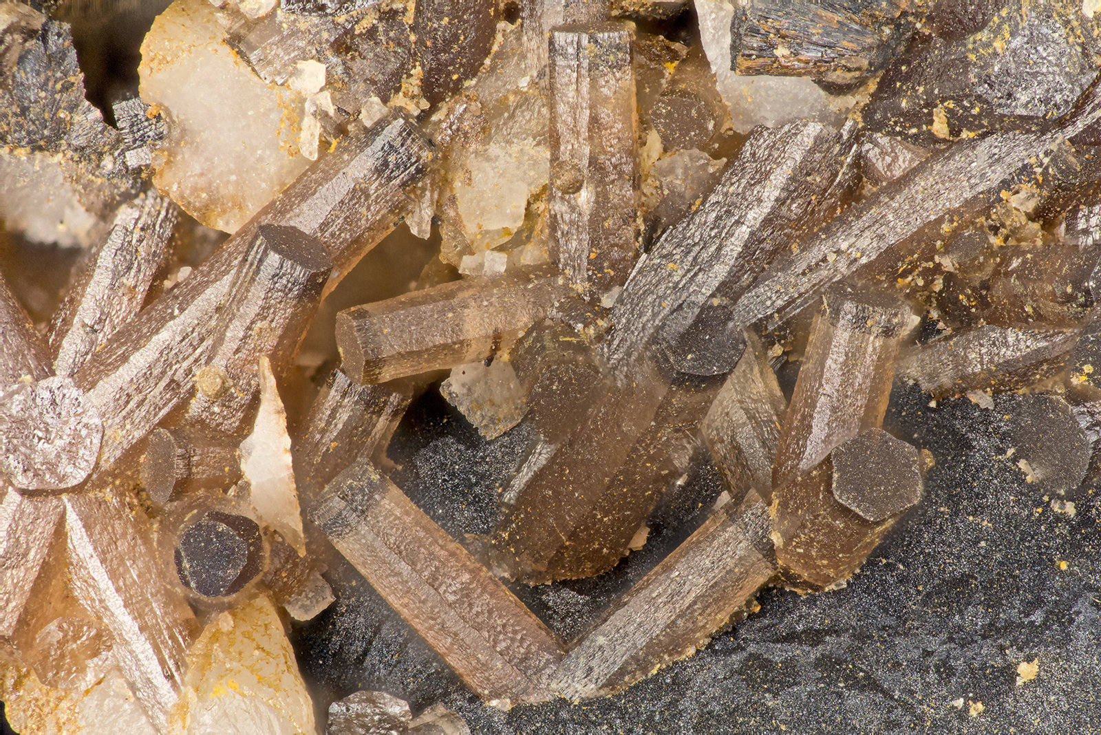 Pyuromorphite
FOV = 3.7 mm
(Autor: Doug)