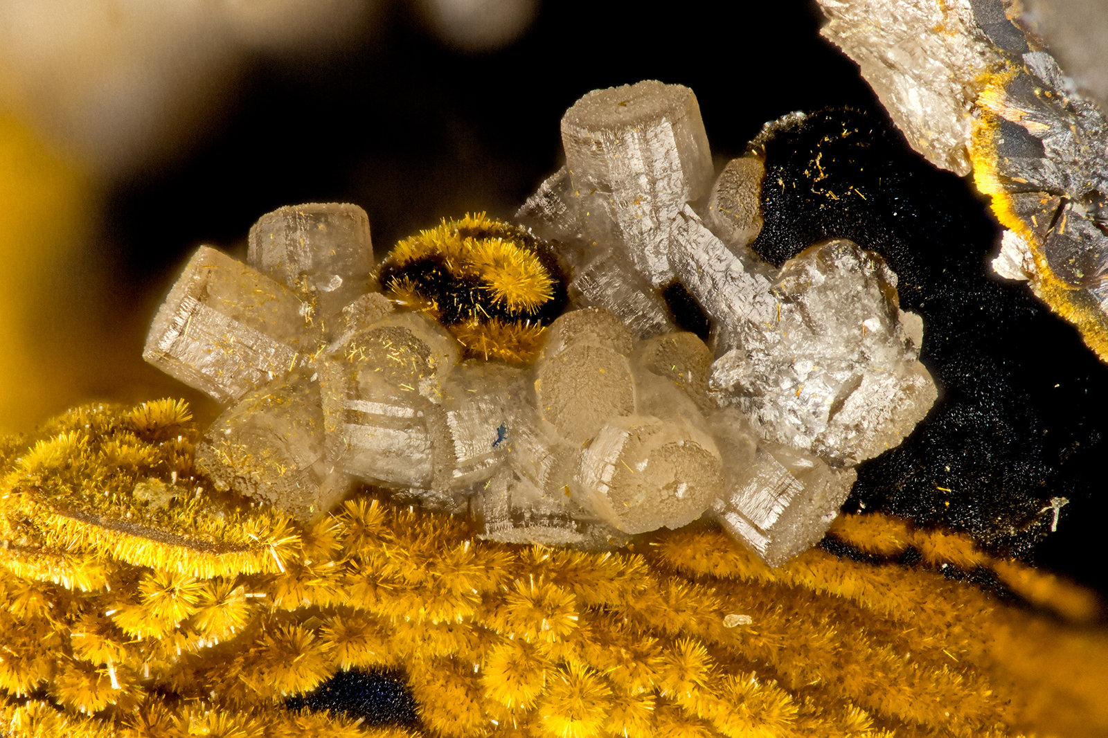 Pyromorphite, Goethite
FOV = 1.5 mm
(Autor: Doug)
