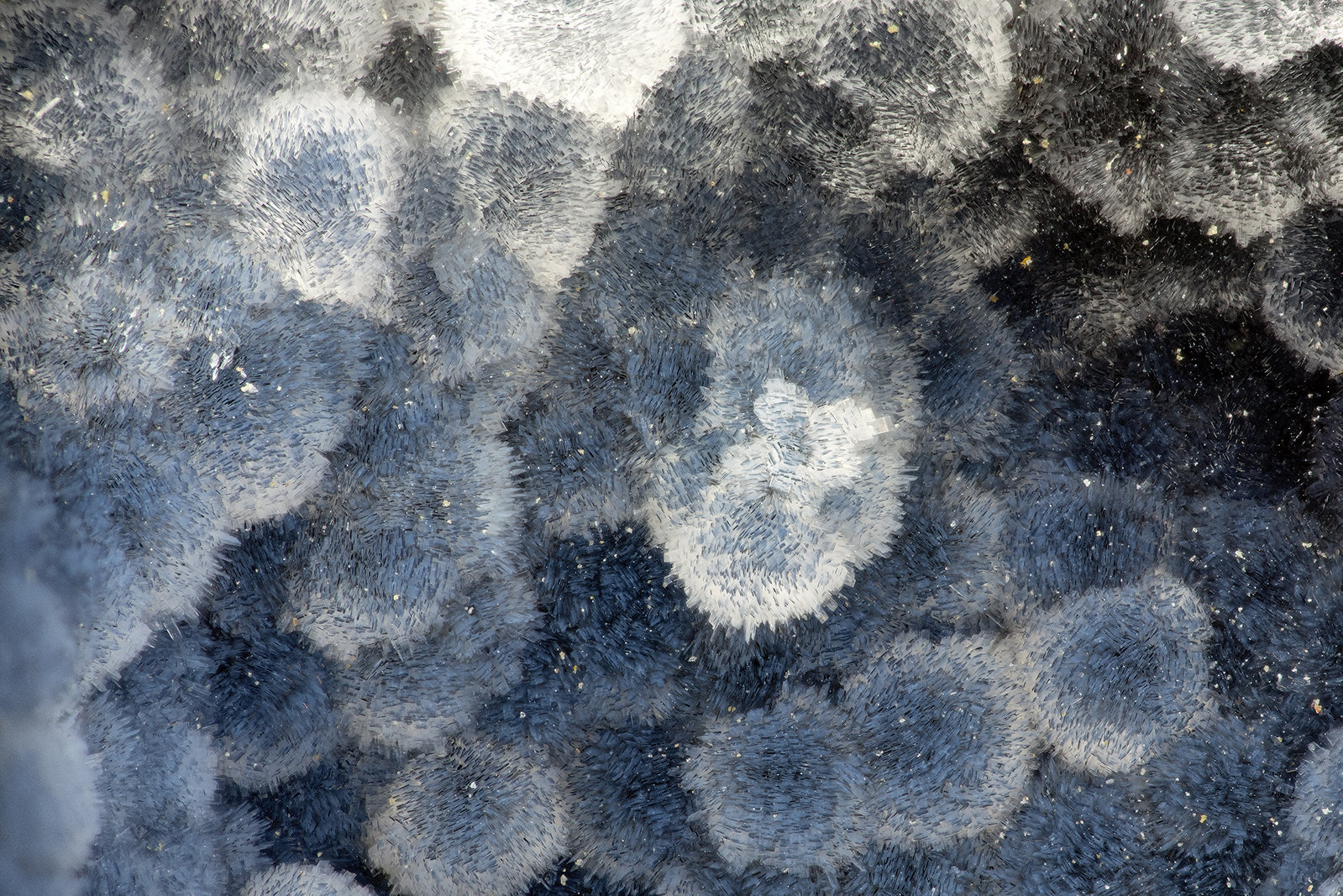 'Thomsonite'
FOV = 3.1 mm
(Autor: Doug)