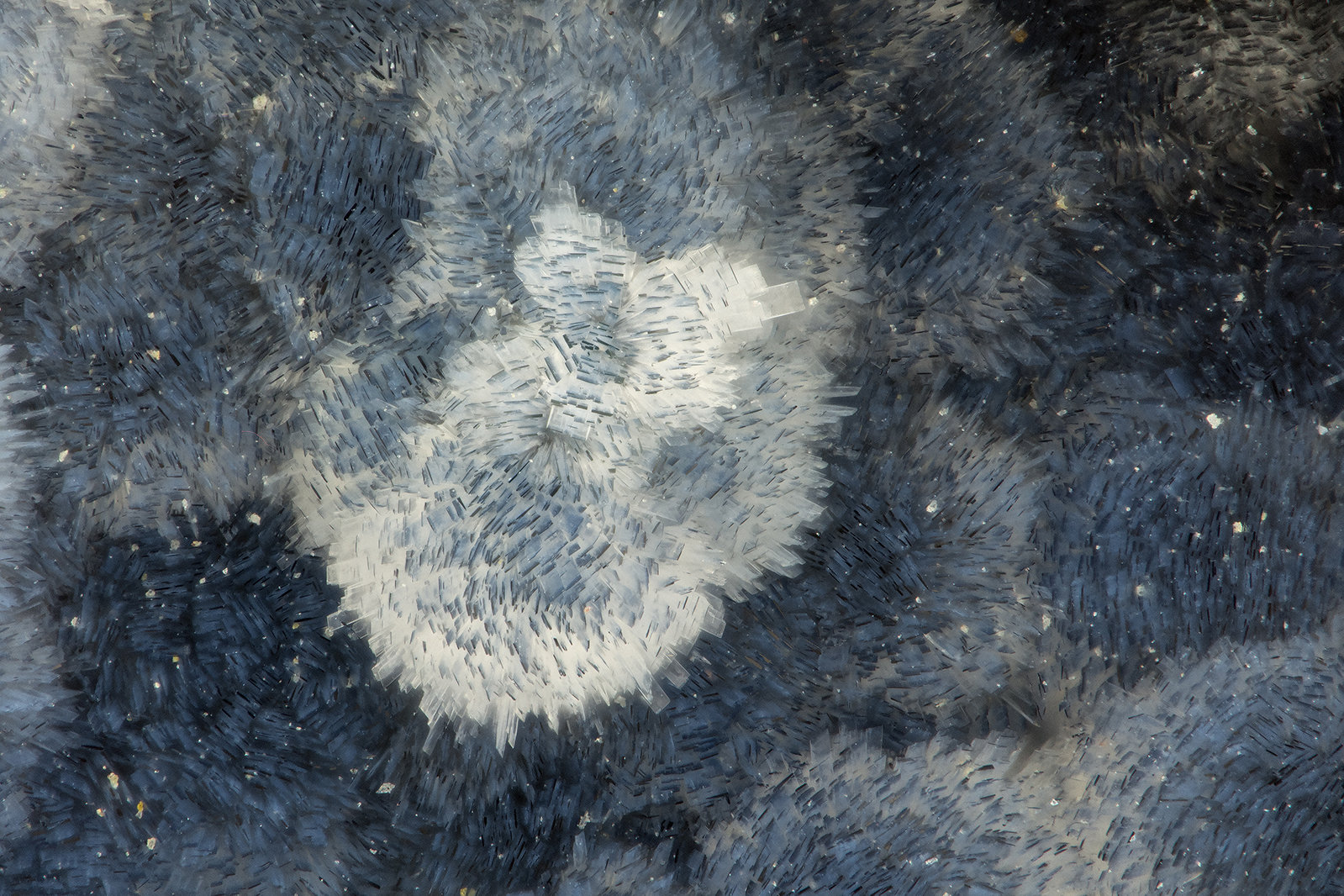 'Thomsonite'
FOV = 1.5
(Autor: Doug)