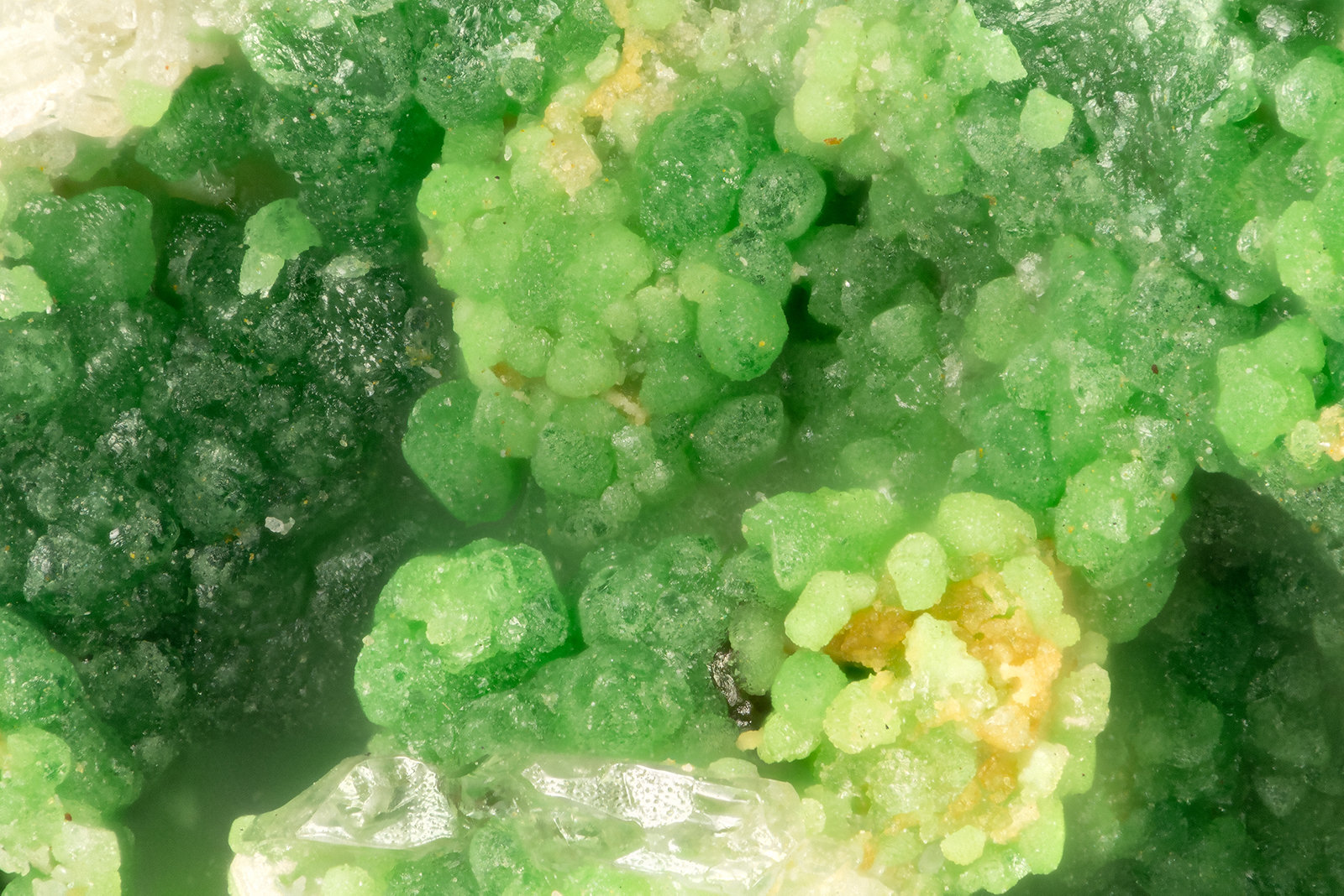 Bayldonite
FOV = 1.5 mm
(Autor: Doug)