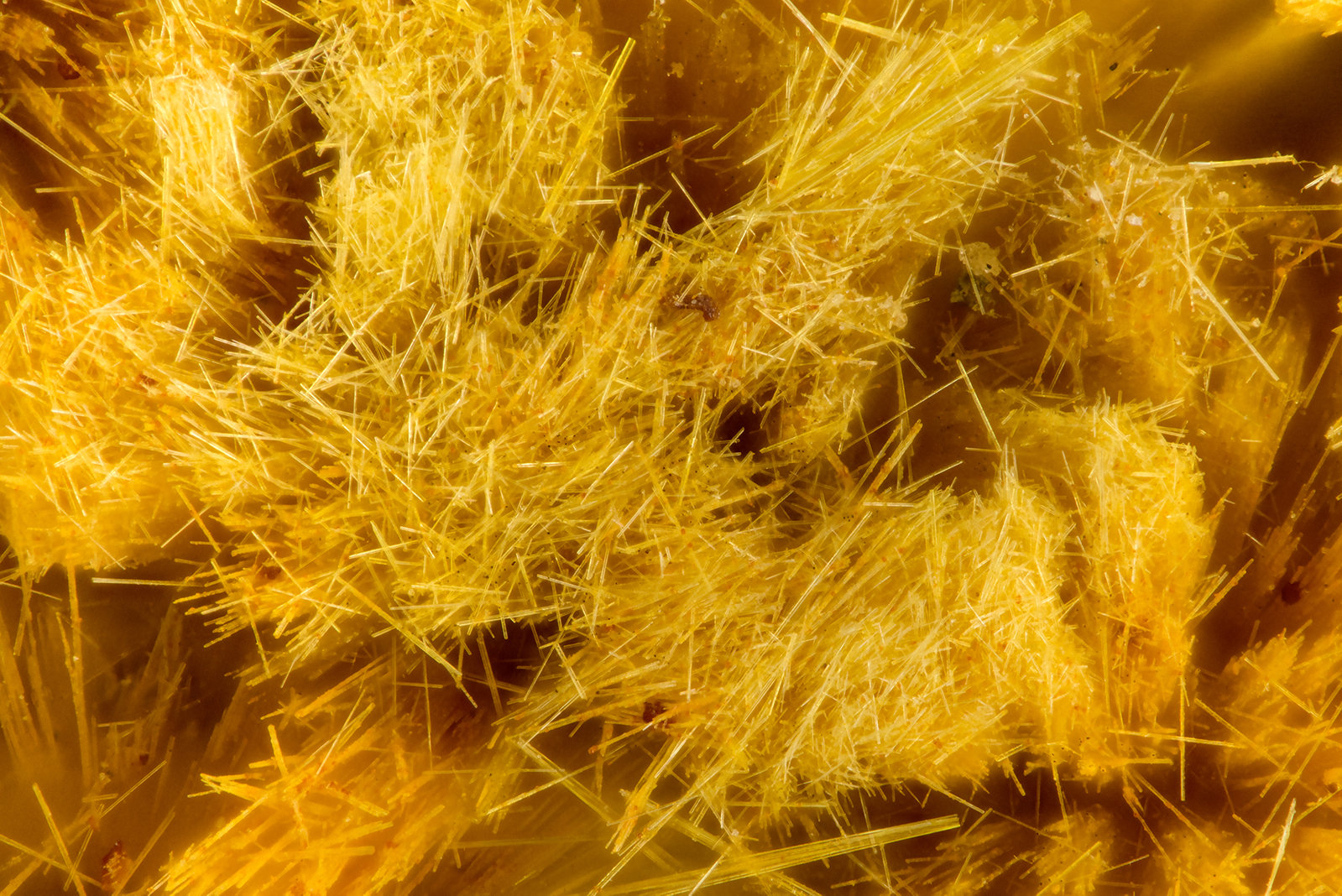 Cacoxenite
FOV = 1.6 mm
(Autor: Doug)