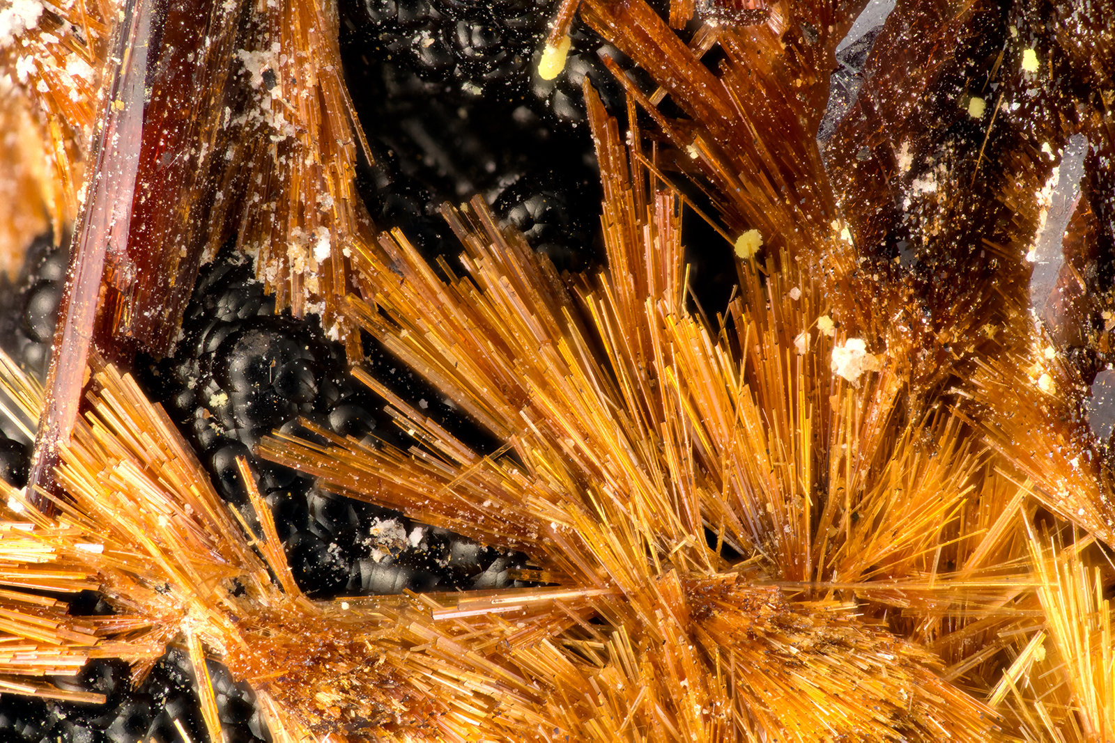 Beraunite
FOV = 3.8 mm
(Autor: Doug)