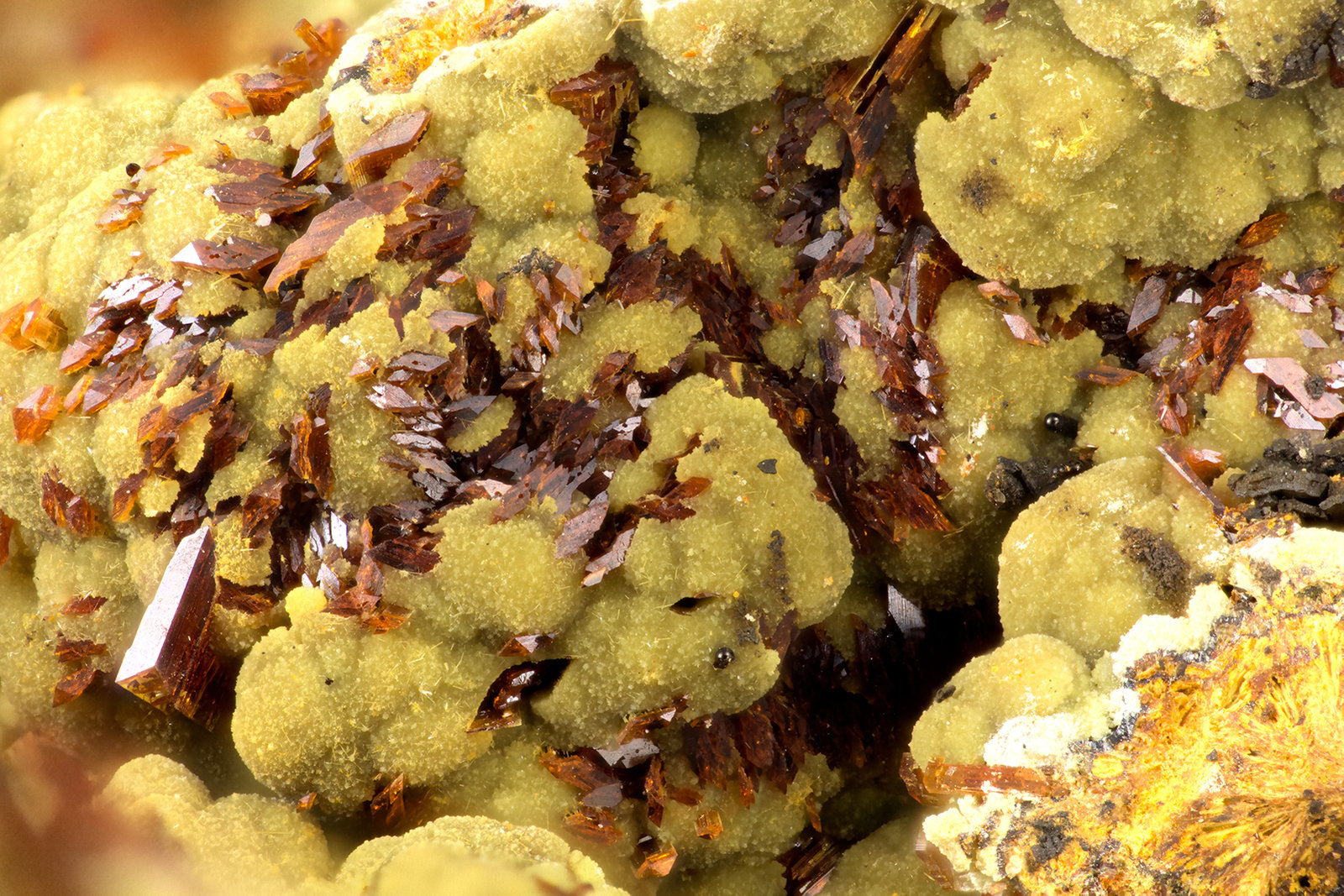 Kidwellite, Beraunite
FOV = 3.8 mm
(Autor: Doug)