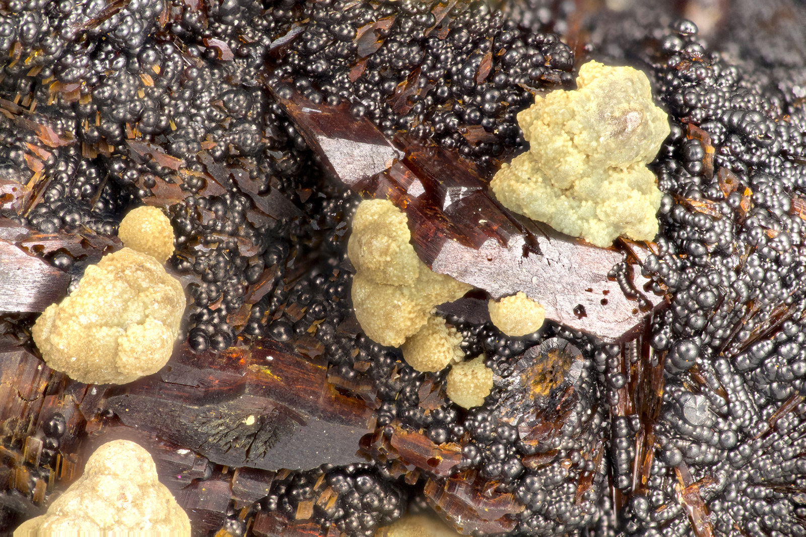 Kidwellite, Beraunite
FOV = 4.0 mm
(Autor: Doug)