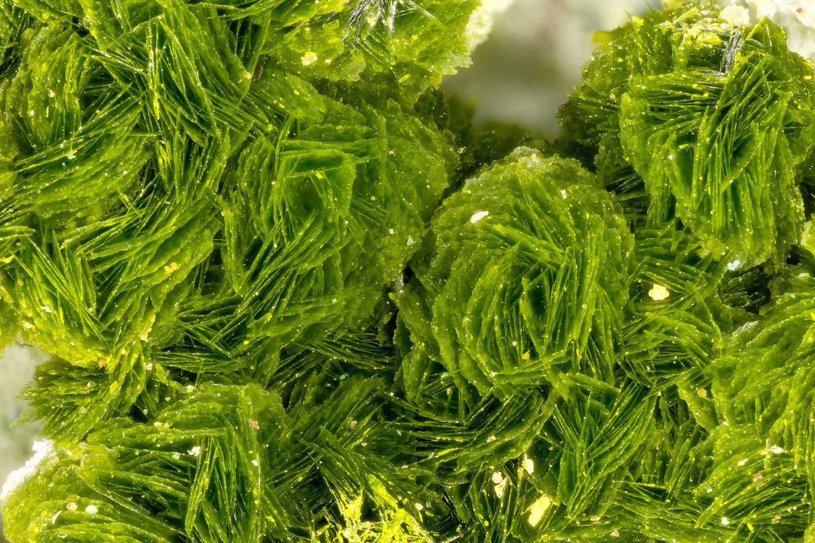 Tangeite
FOV = 3.2 mm
(Autor: Doug)