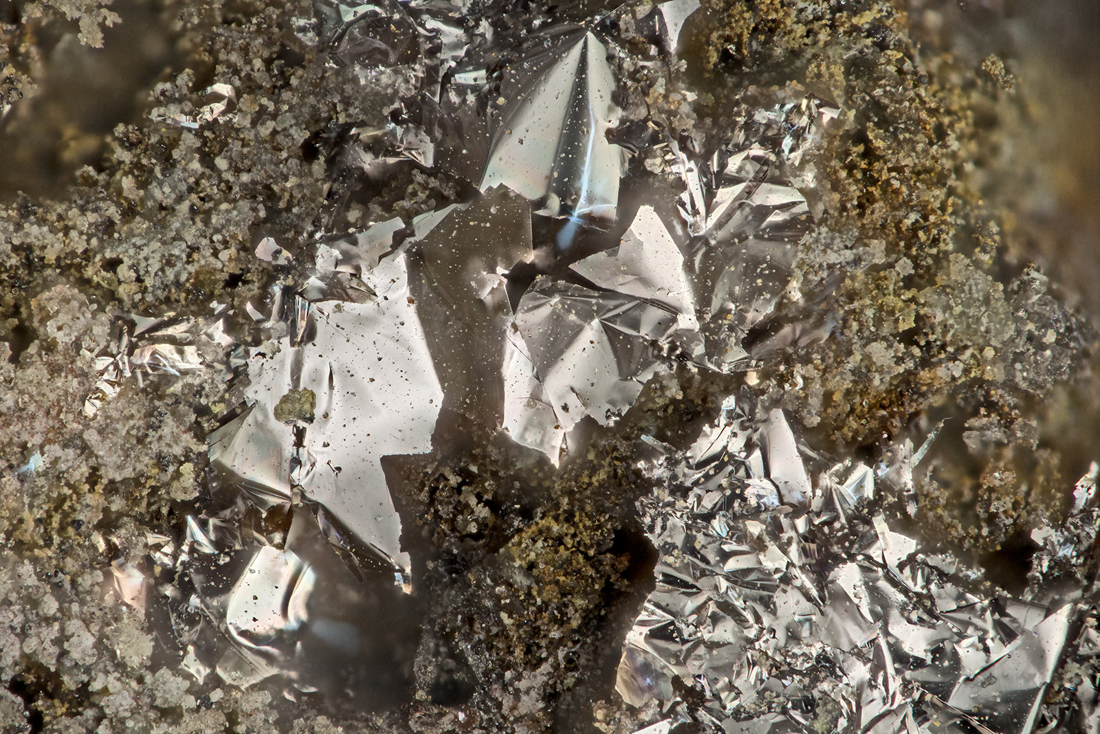 Rheniite
FOV = 1.8 mm
(Autor: Doug)