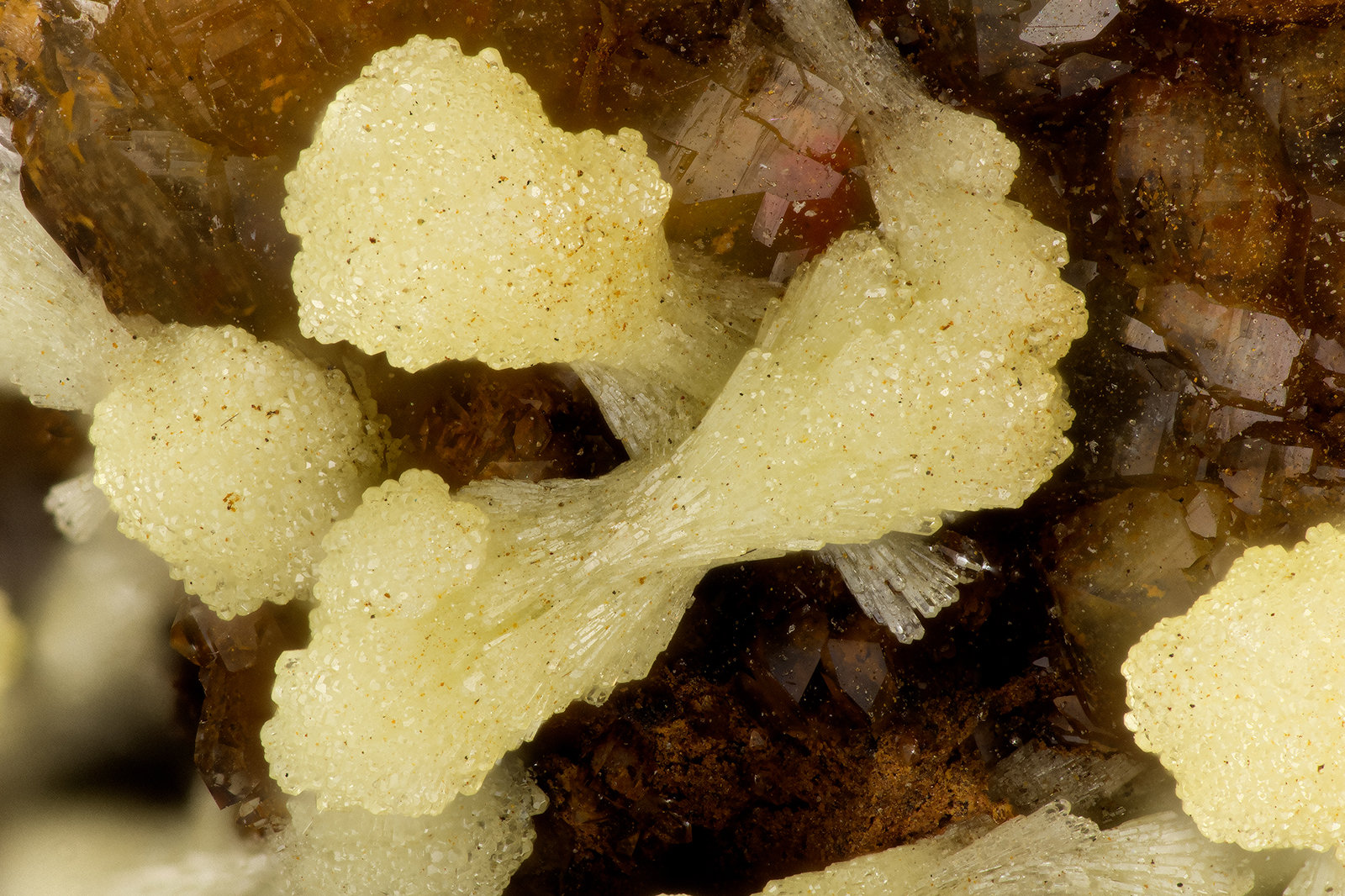 Mimetite
FOV = 3.0 mm
(Autor: Doug)