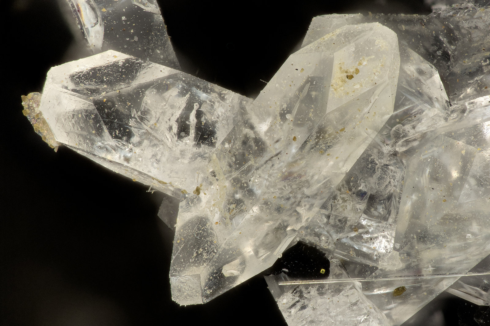 Fluorapophyllite-(K)
FOV = 3.1 mm
(Autor: Doug)