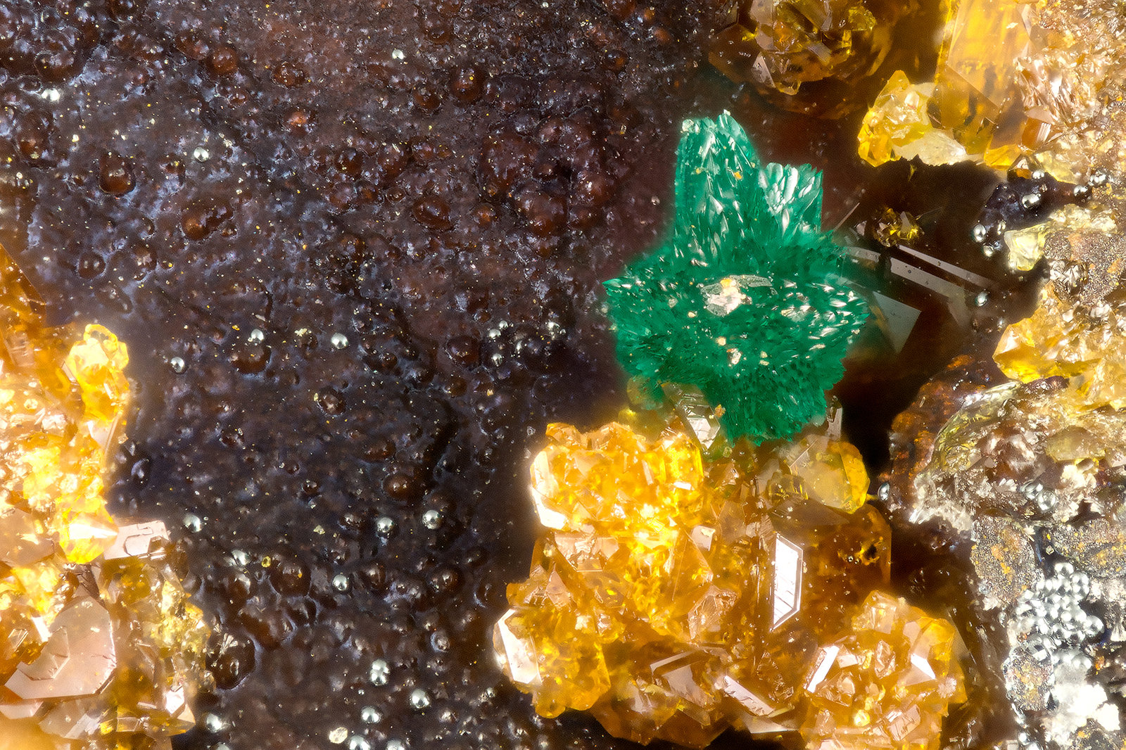 Pseudomalachite
FOV = 1.1 mm
(Autor: Doug)