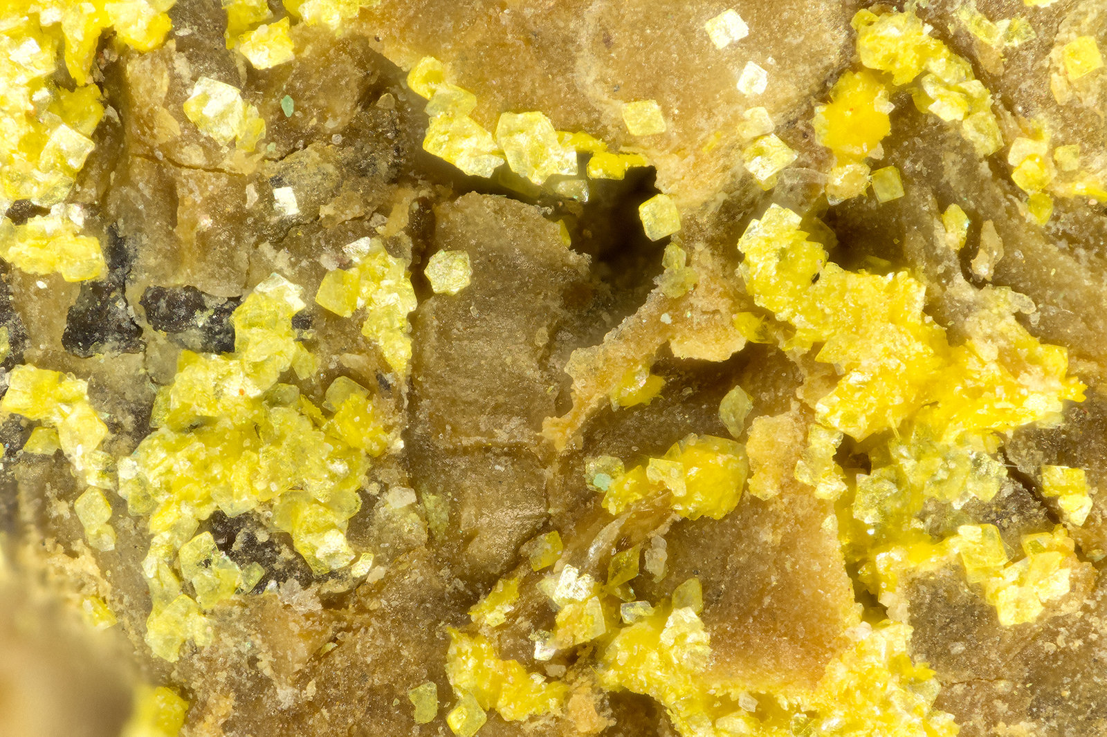 Carnotite
FOV = 1.5 mm
(Autor: Doug)