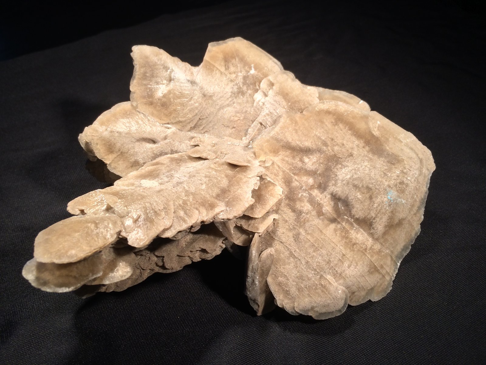 Gypsum
155 mm x 155 mm x 60 mm
(Autor: Robert Seitz)