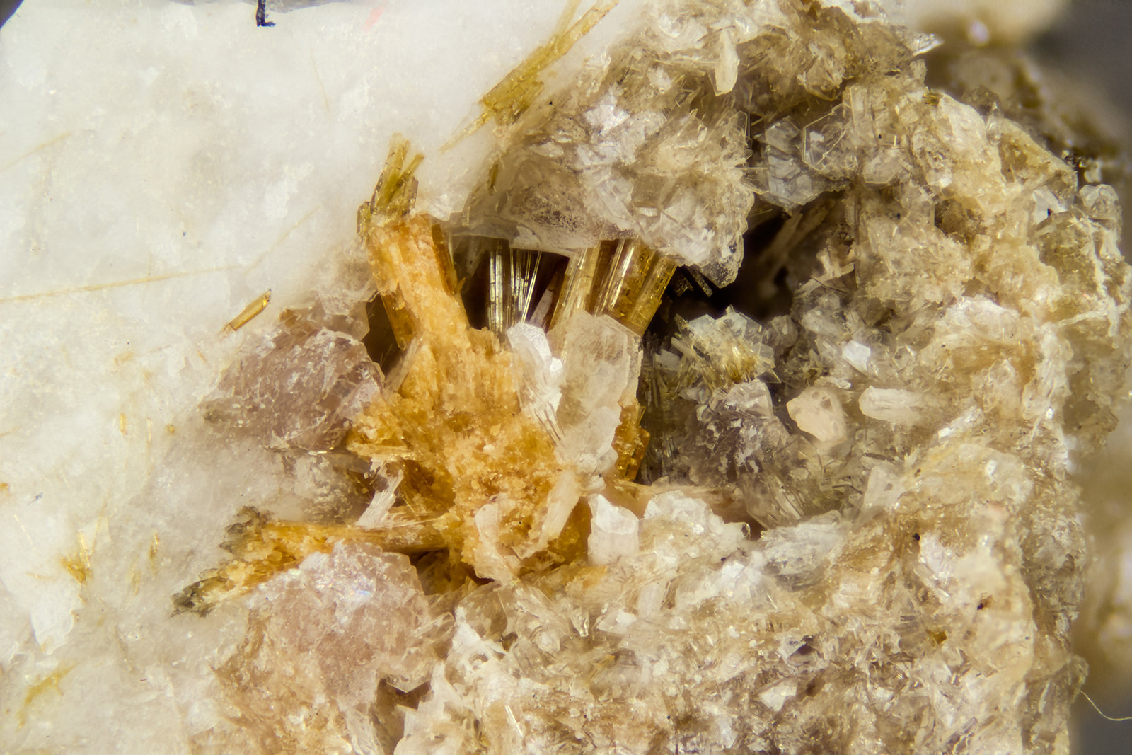 Bussyite-(Ce)
FOV = 4.0 mm
(Autor: Doug)