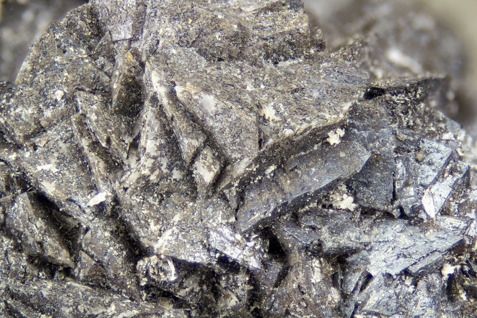 Cryptomelane
FOV = 4.0 mm
(Autor: Doug)