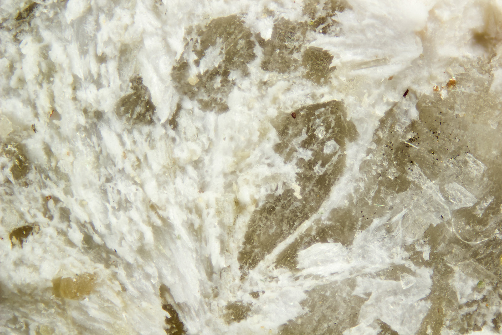 Lecoqite-(Y)
FOV = 2.0 mm
(Autor: Doug)