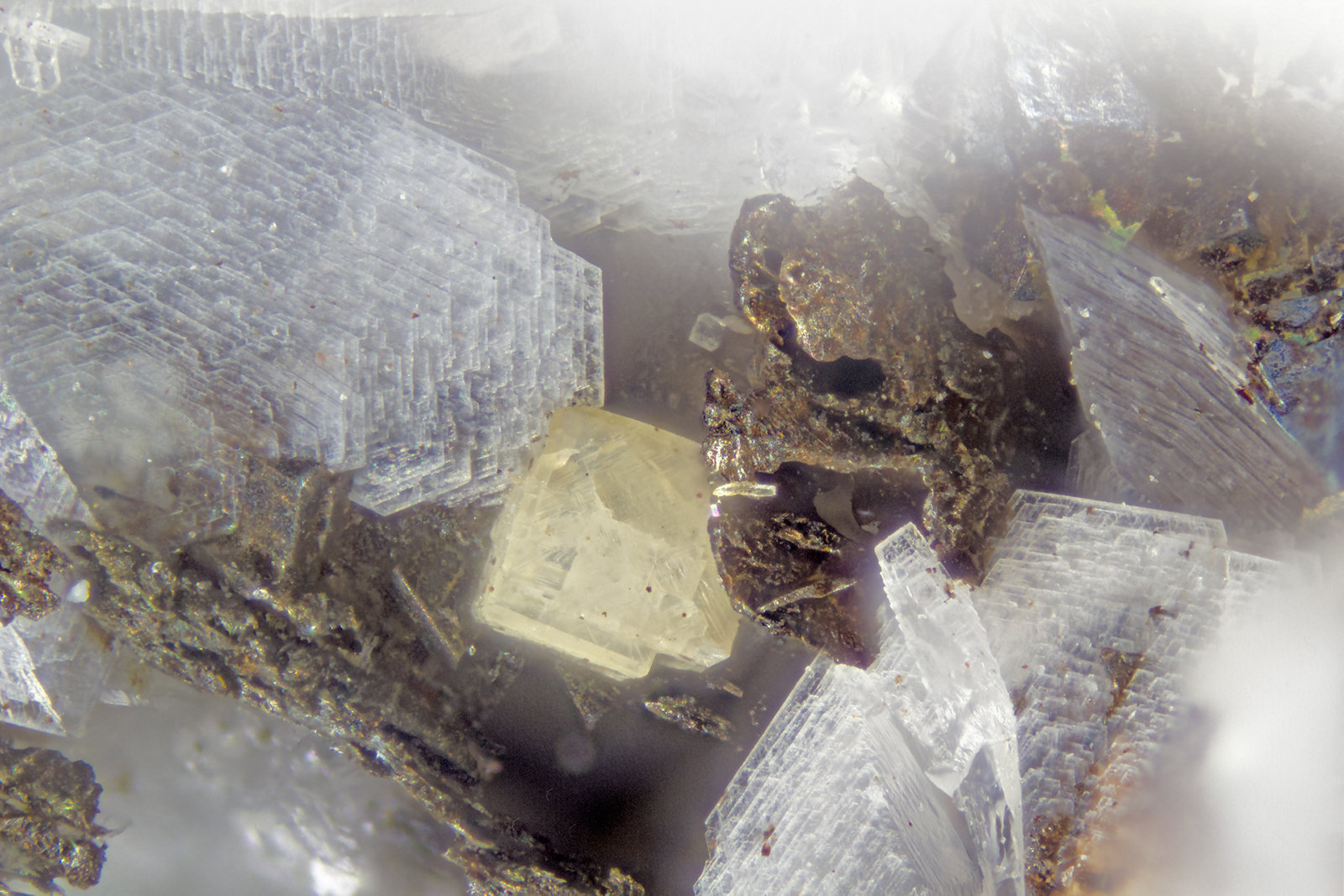 Peatite-(Y), Ramikite-(Y)
FOV = 2.0
(Autor: Doug)