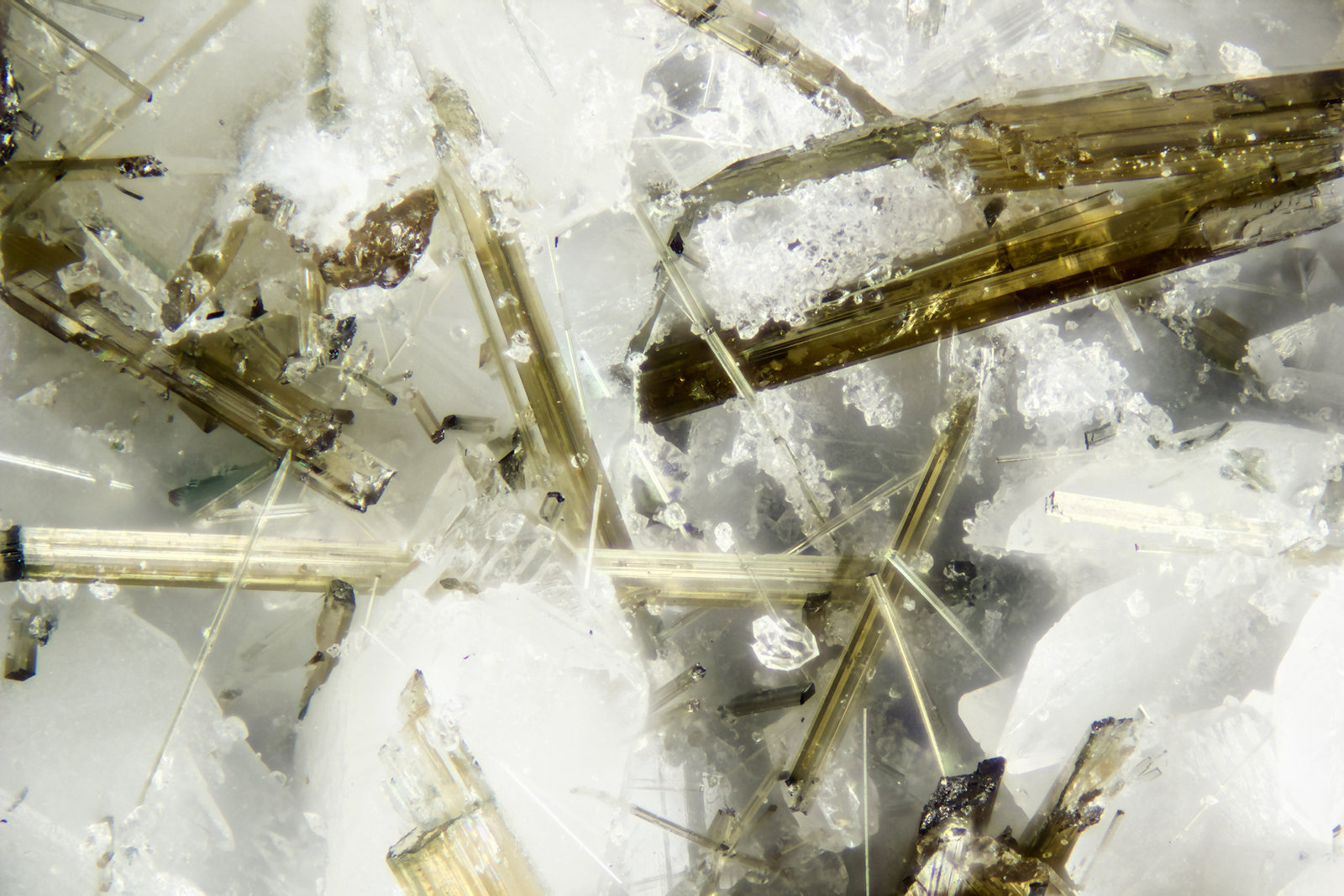 Richterite
FOV = 2.0 mm
(Autor: Doug)