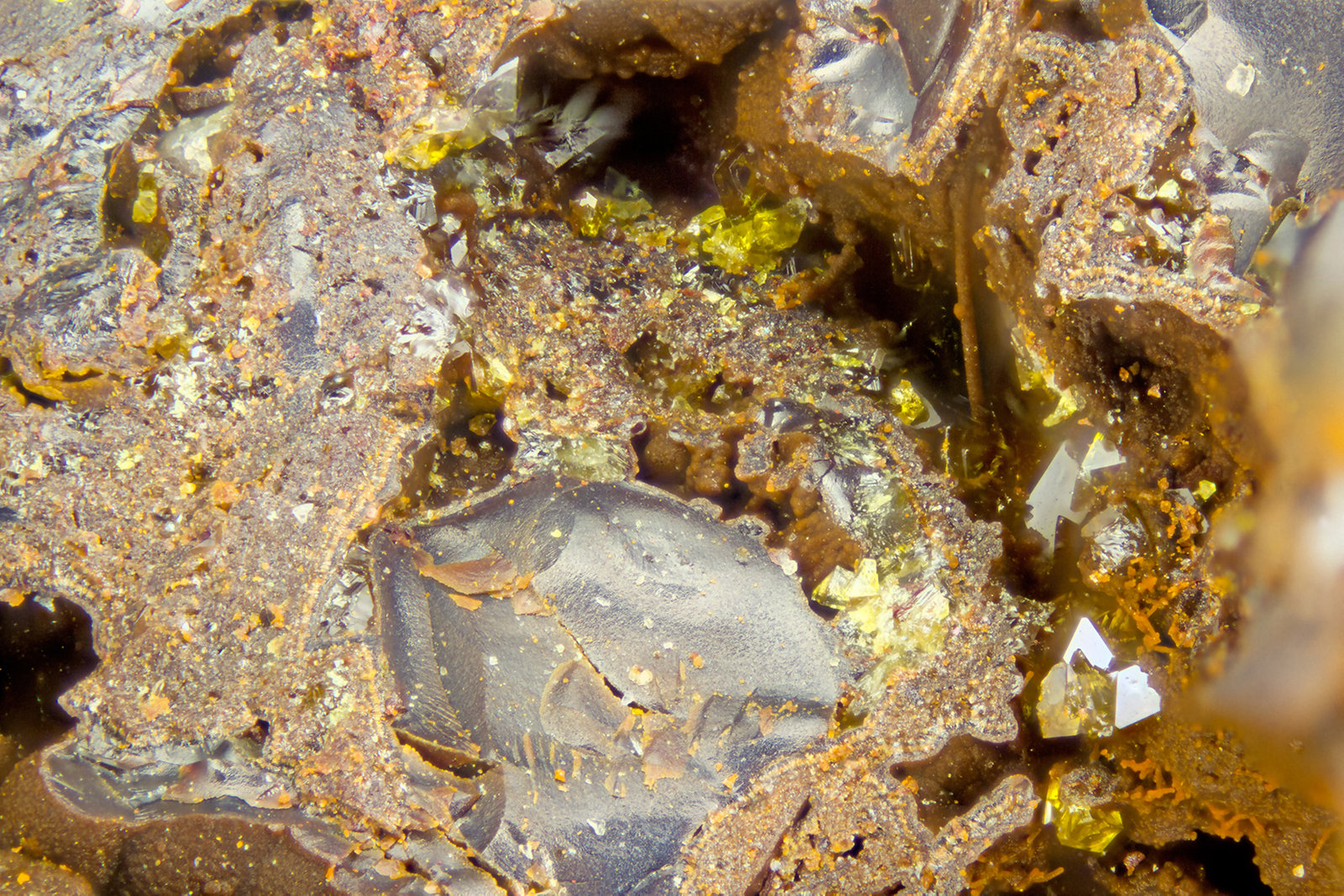 Segnitite
FOV = 2.0 mm
(Autor: Doug)