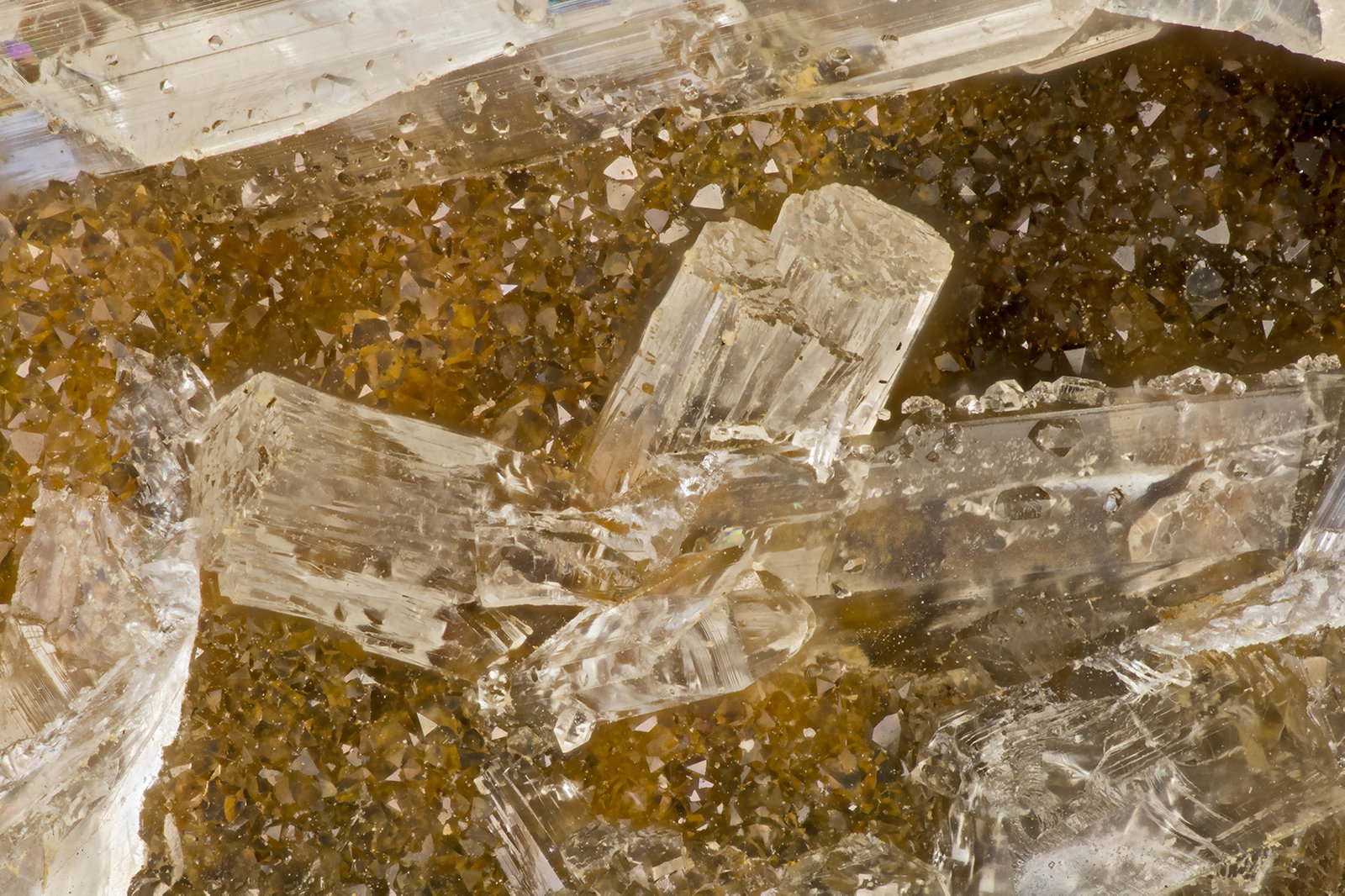 Willemite
FOV = 2.4 mm
(Autor: Doug)