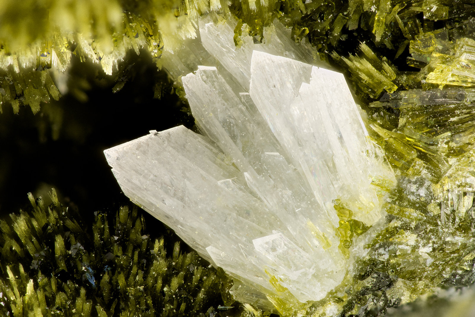 Laumontite with Epidote
FOV = 3.4 mm
(Autor: Doug)