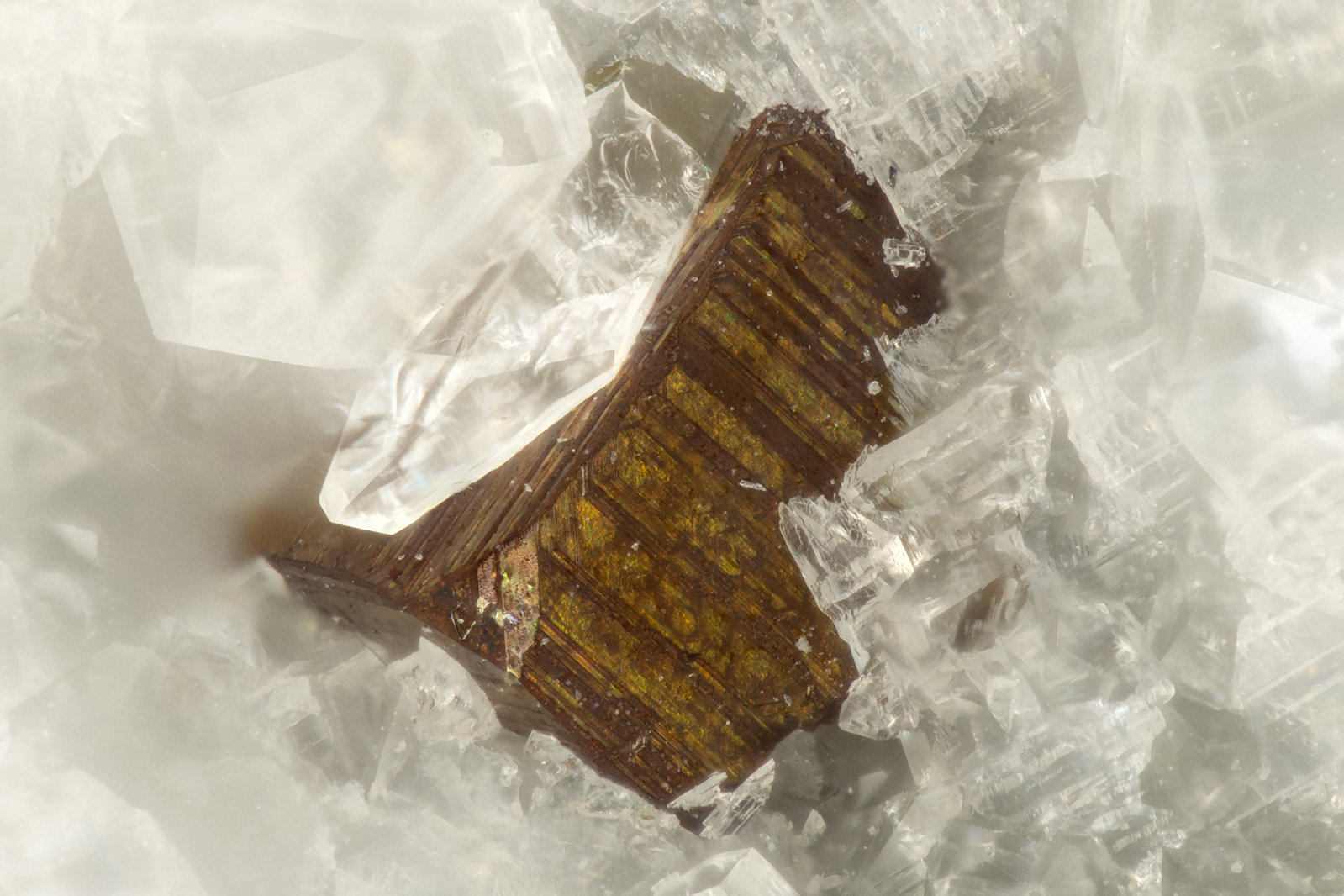 Pyrite on Quartz
FOV = 1.1mm
(Autor: Doug)