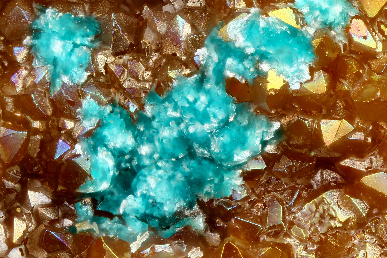 Eurekadumpite
FOV = 1.1 mm
(Autor: Doug)