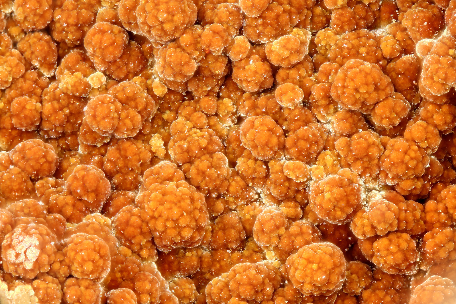 Arseniosiderite
FOV = 1.5 mm
(Autor: Doug)