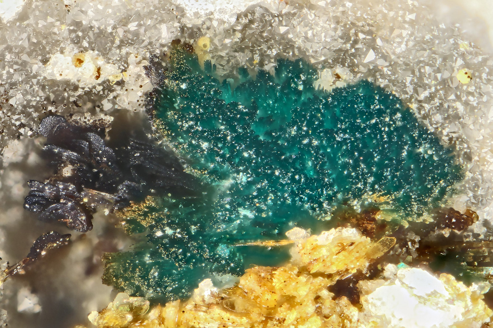 Utahite
FOV = 1.0 mm
(Autor: Doug)