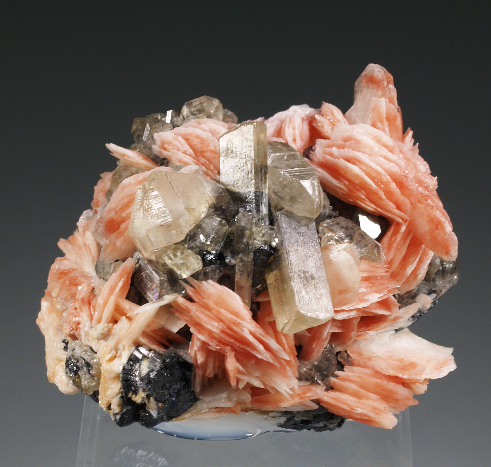 Cerussite, Barite, Galena
Mibladen (distrito minero Mibladen), Midelt, Provincia Midelt, Región Drâa-Tafilalet, Marruecos
64 mm x 62 mm x 48 mm. Largest crystal: 18 mm
(Autor: Carles Millan)