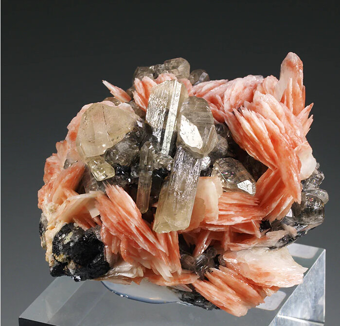 Cerussite, Barite, Galena
Mibladen (distrito minero Mibladen), Midelt, Provincia Midelt, Región Drâa-Tafilalet, Marruecos
64 mm x 62 mm x 48 mm. Largest crystal: 18 mm
(Autor: Carles Millan)