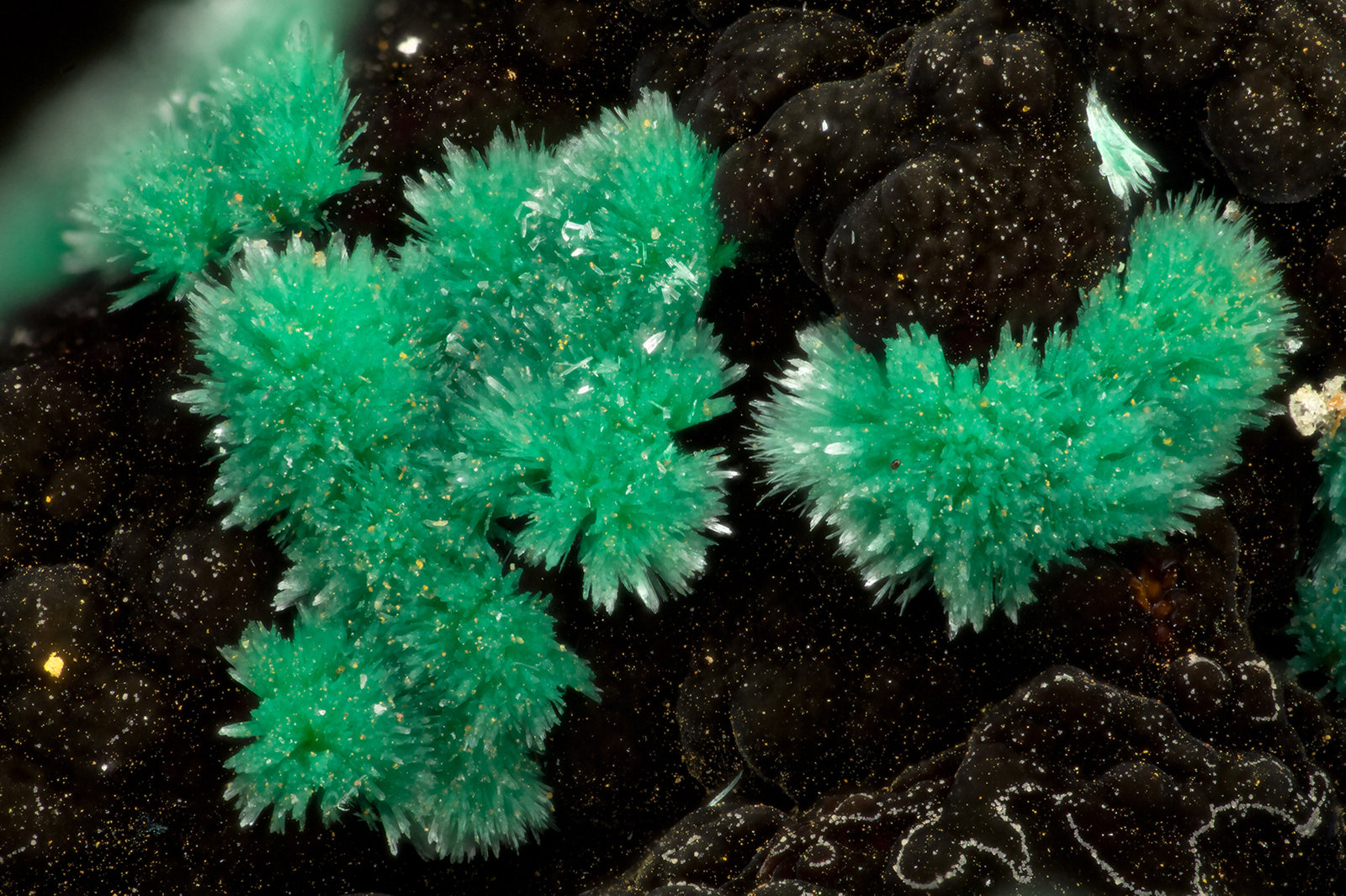 Malachite
FOV = 3.2 mm
(Autor: Doug)