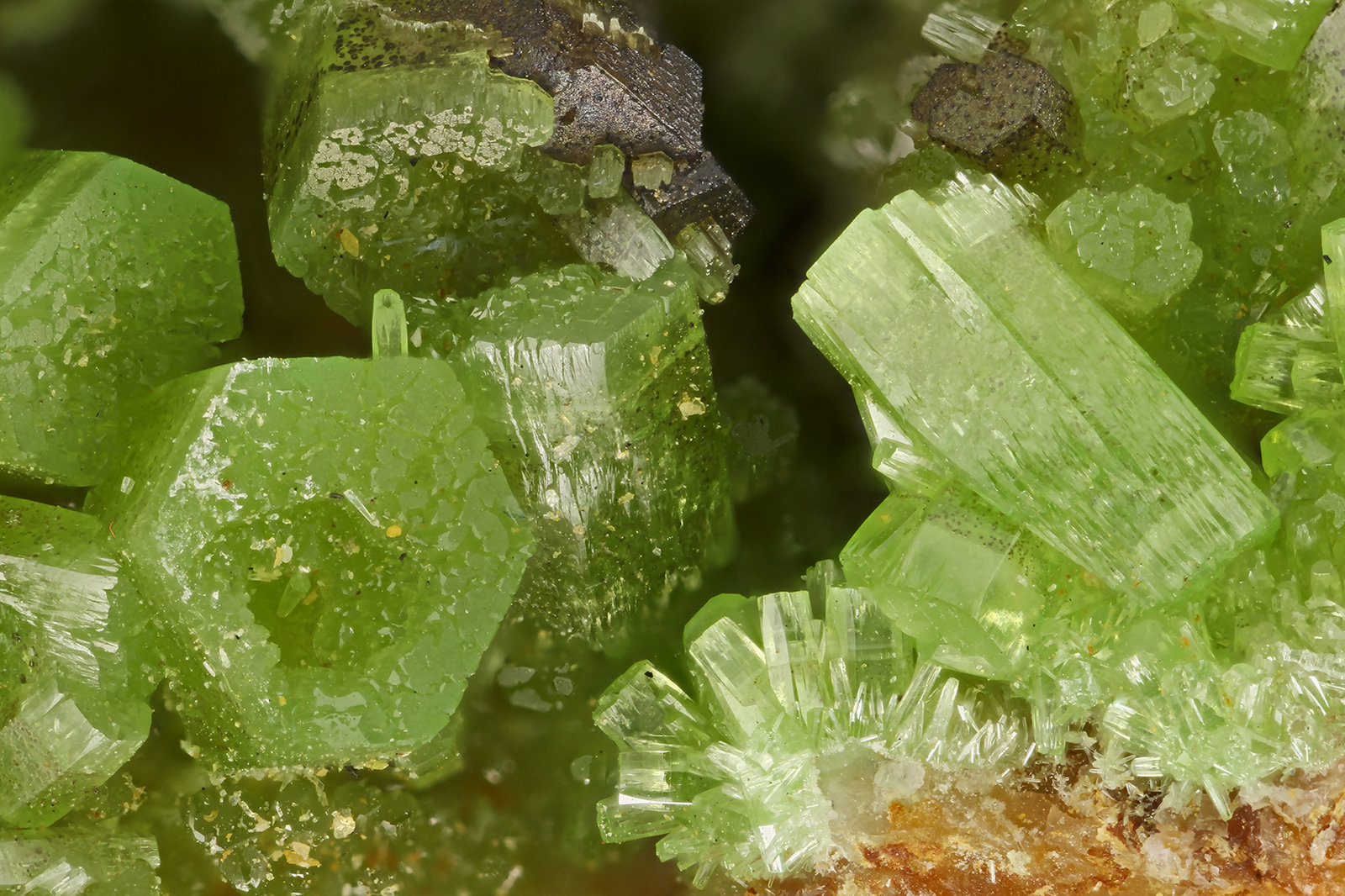 Pyromorphite
FOV = 3.8 mm
(Autor: Doug)
