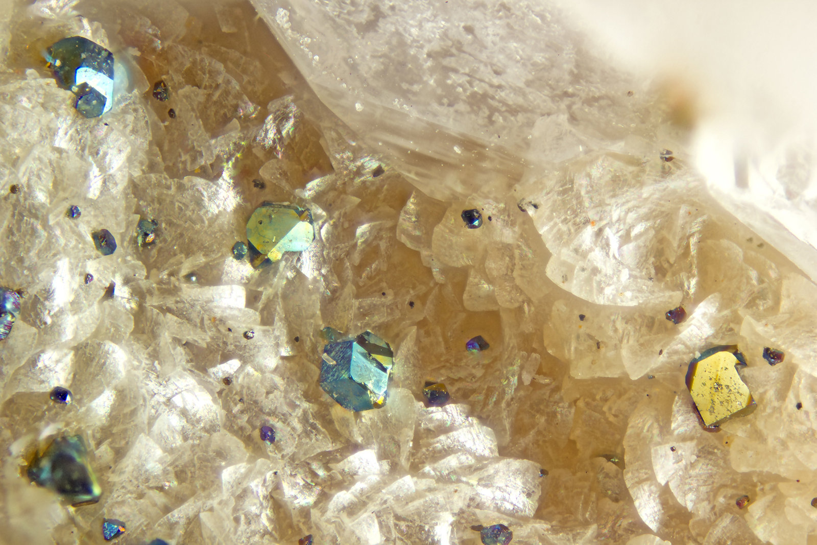 Chalcopyrite
FOV = 2.0 mm
(Autor: Doug)