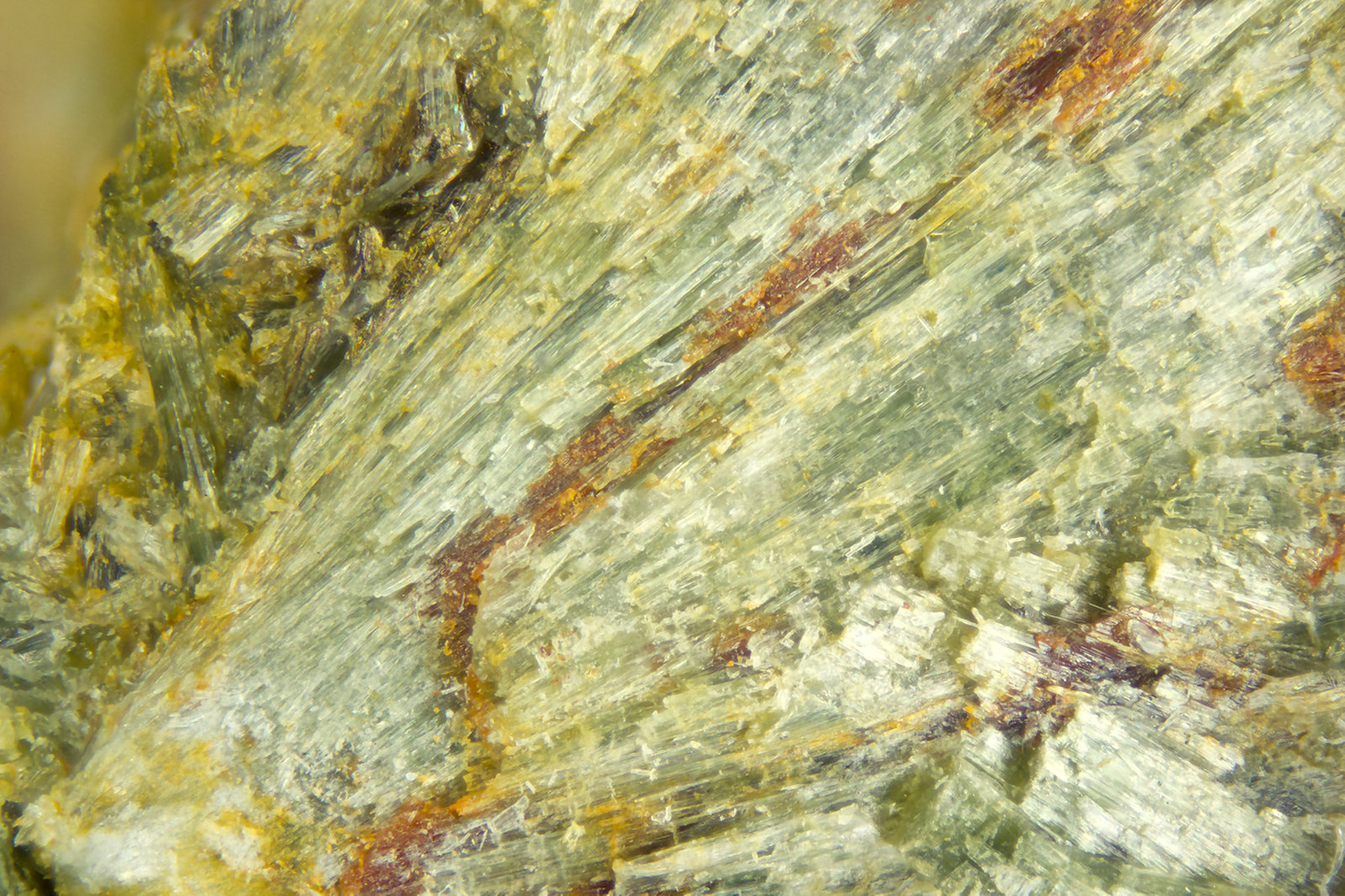 Actinolite
FOV = 2.0 mm
(Autor: Doug)