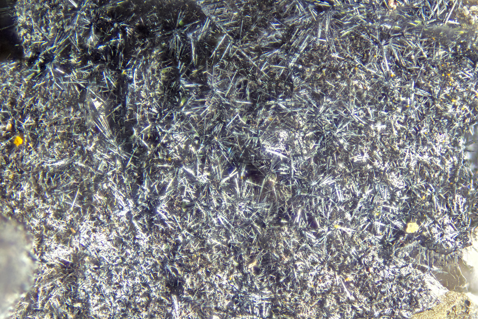 Pyrolusite
FOV = 2.0 mm
(Autor: Doug)