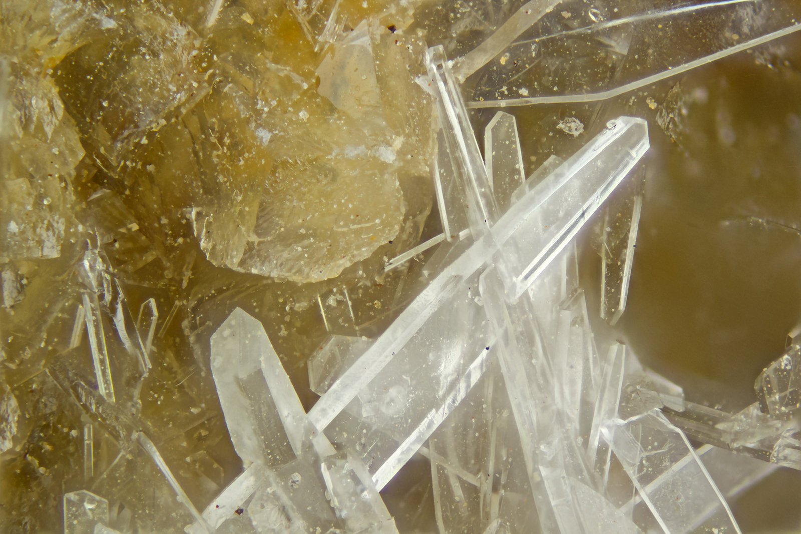 Aragonite
FOV = 2.0 mm
(Autor: Doug)