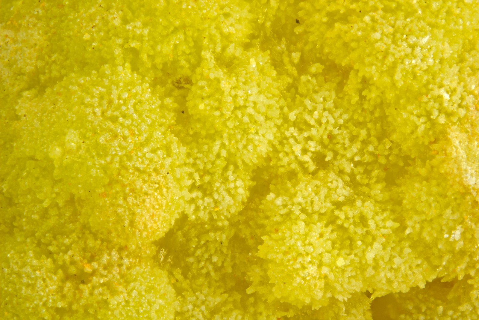 Pyromorphite
FOV = 2.0 mm
(Autor: Doug)