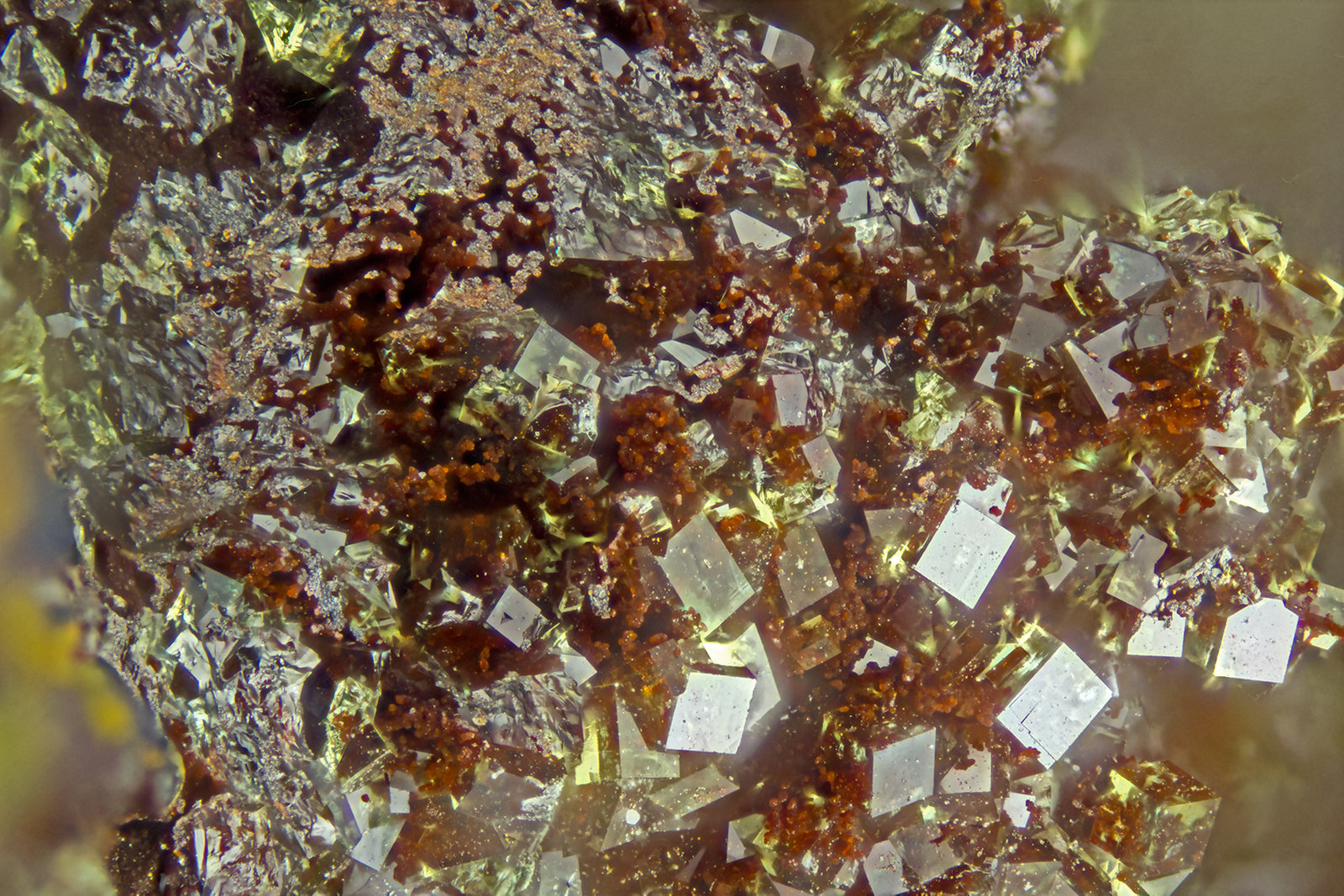 Pharmacosiderite
FOV = 2.0 mm
(Autor: Doug)