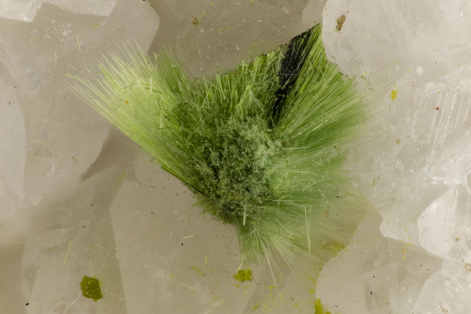 Agardite-(Ce)
FOV = 2.7 mm
(Autor: Doug)