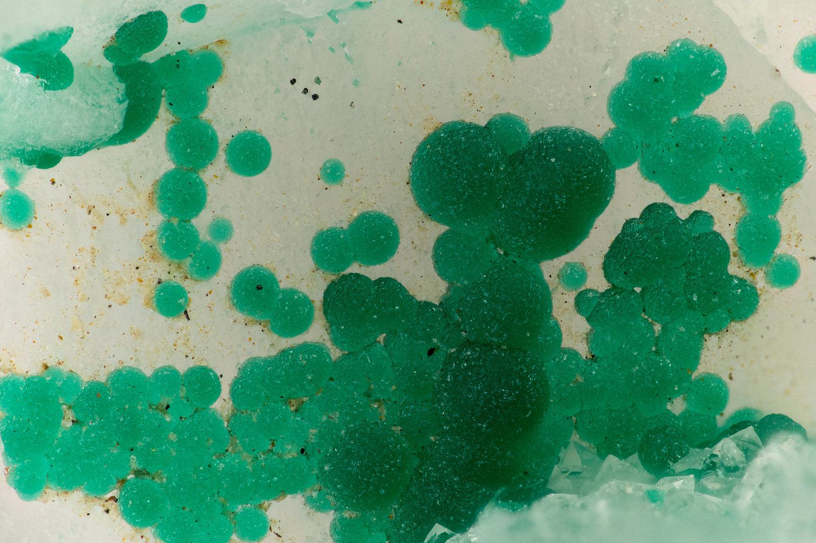 Cornwallite
FOV = 3.3 mm
(Autor: Doug)