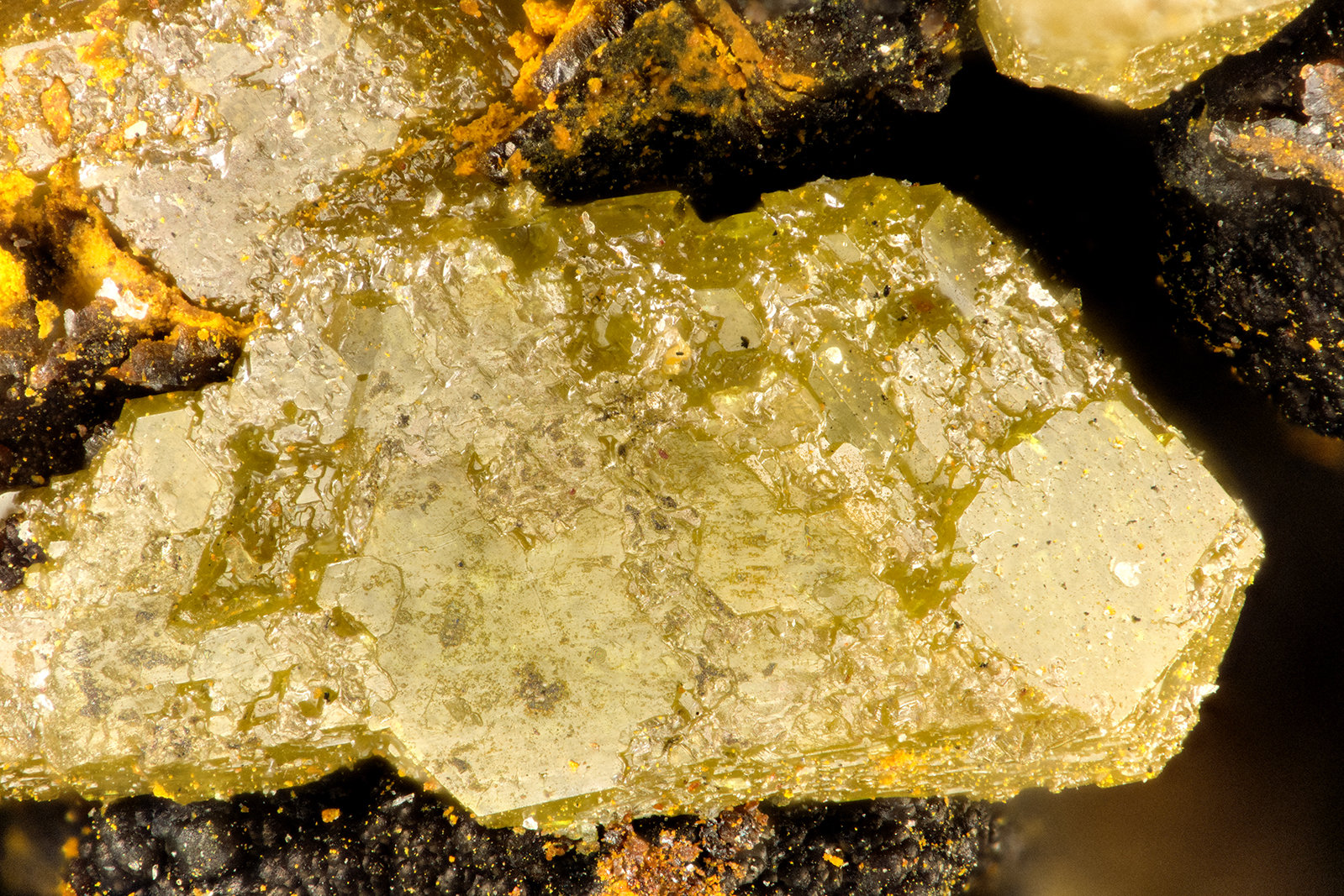 Chlorargyrite
FOV = 1.8 mm
(Autor: Doug)