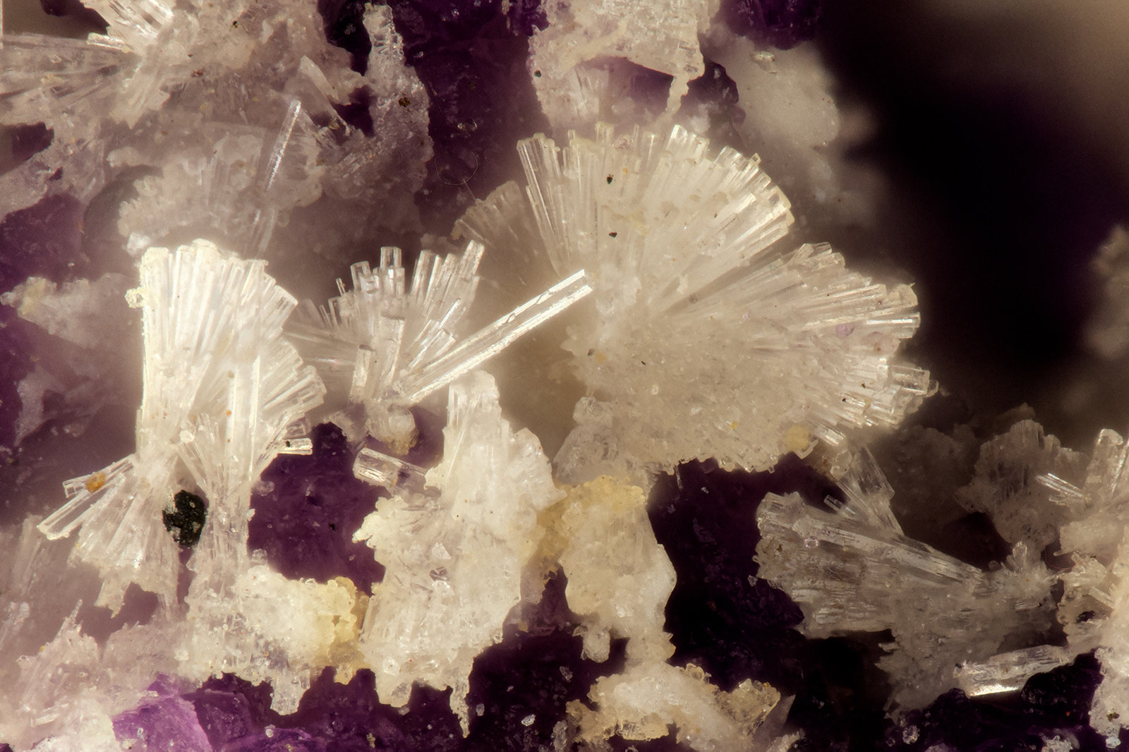 Willemite
FOV = 1.1 mm
(Autor: Doug)