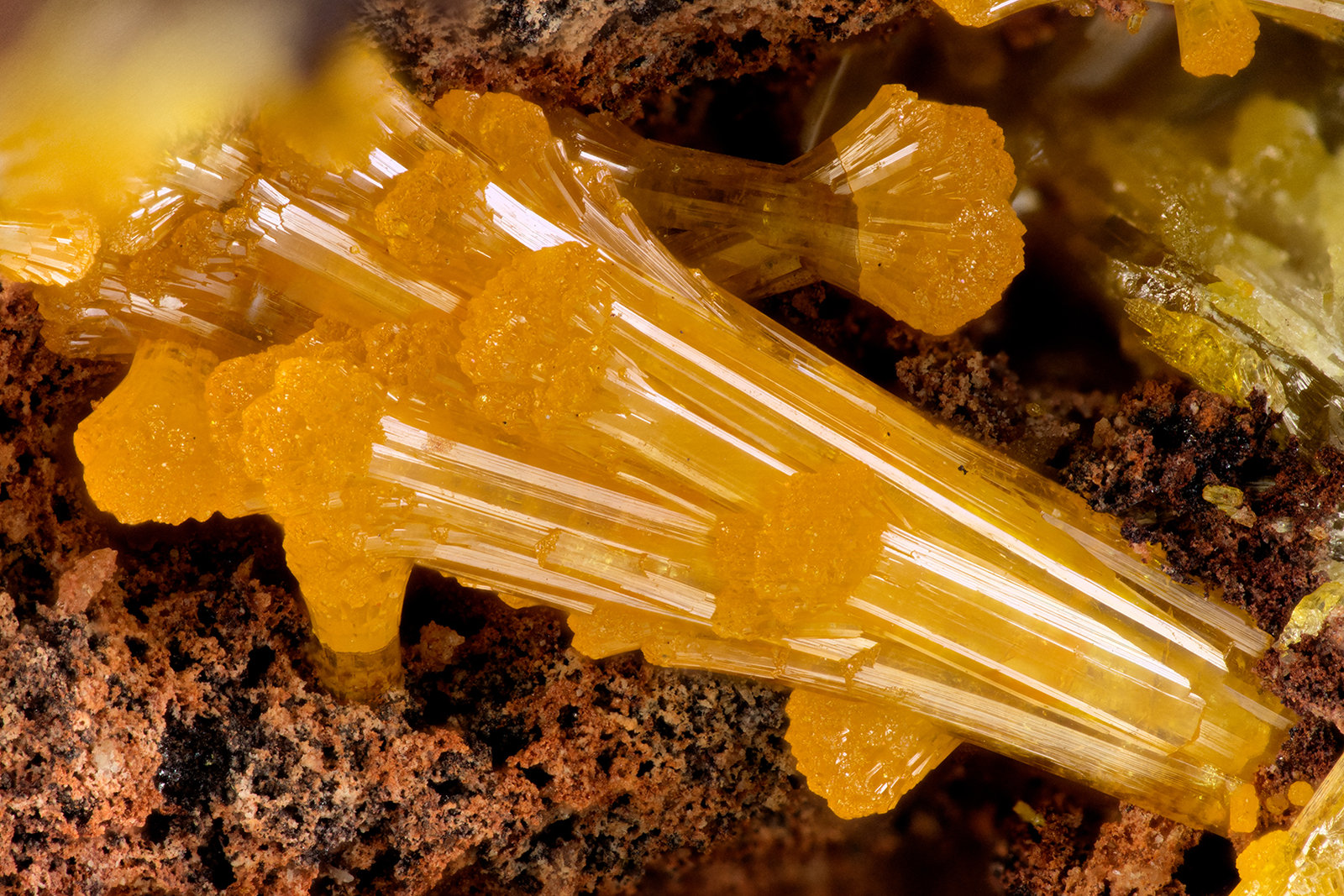 Mimetite
FOV = 3.5 mm
(Autor: Doug)
