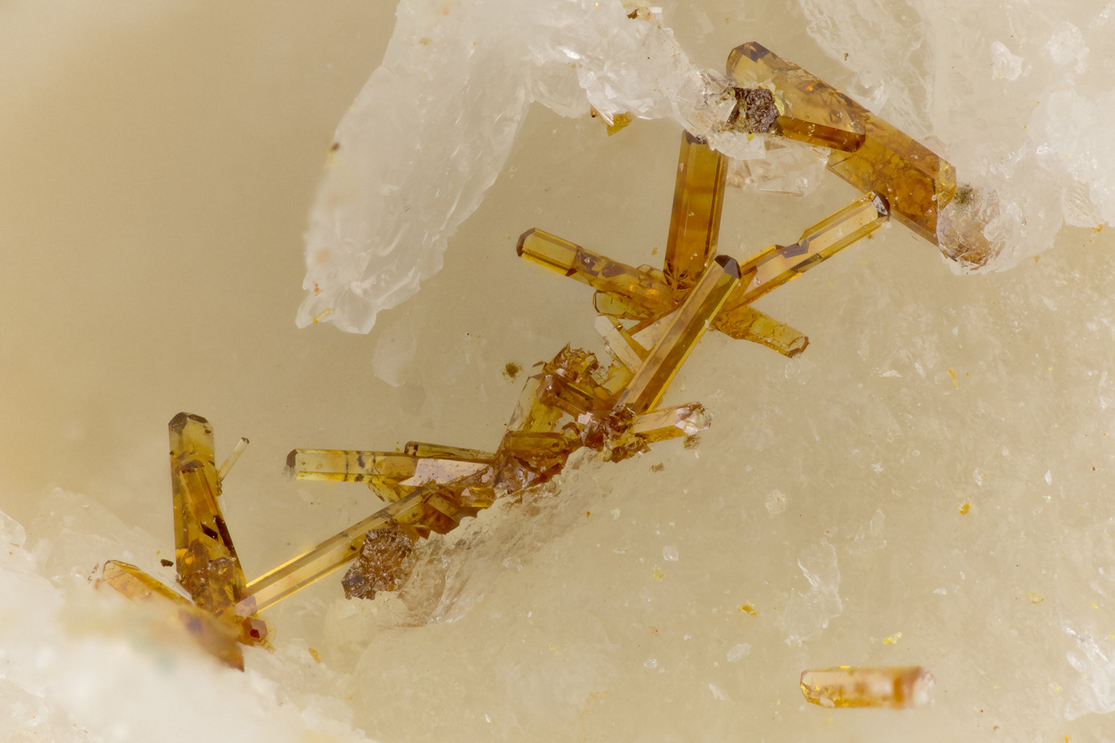 Vanadinite
FOV = 3.1 mm
(Autor: Doug)