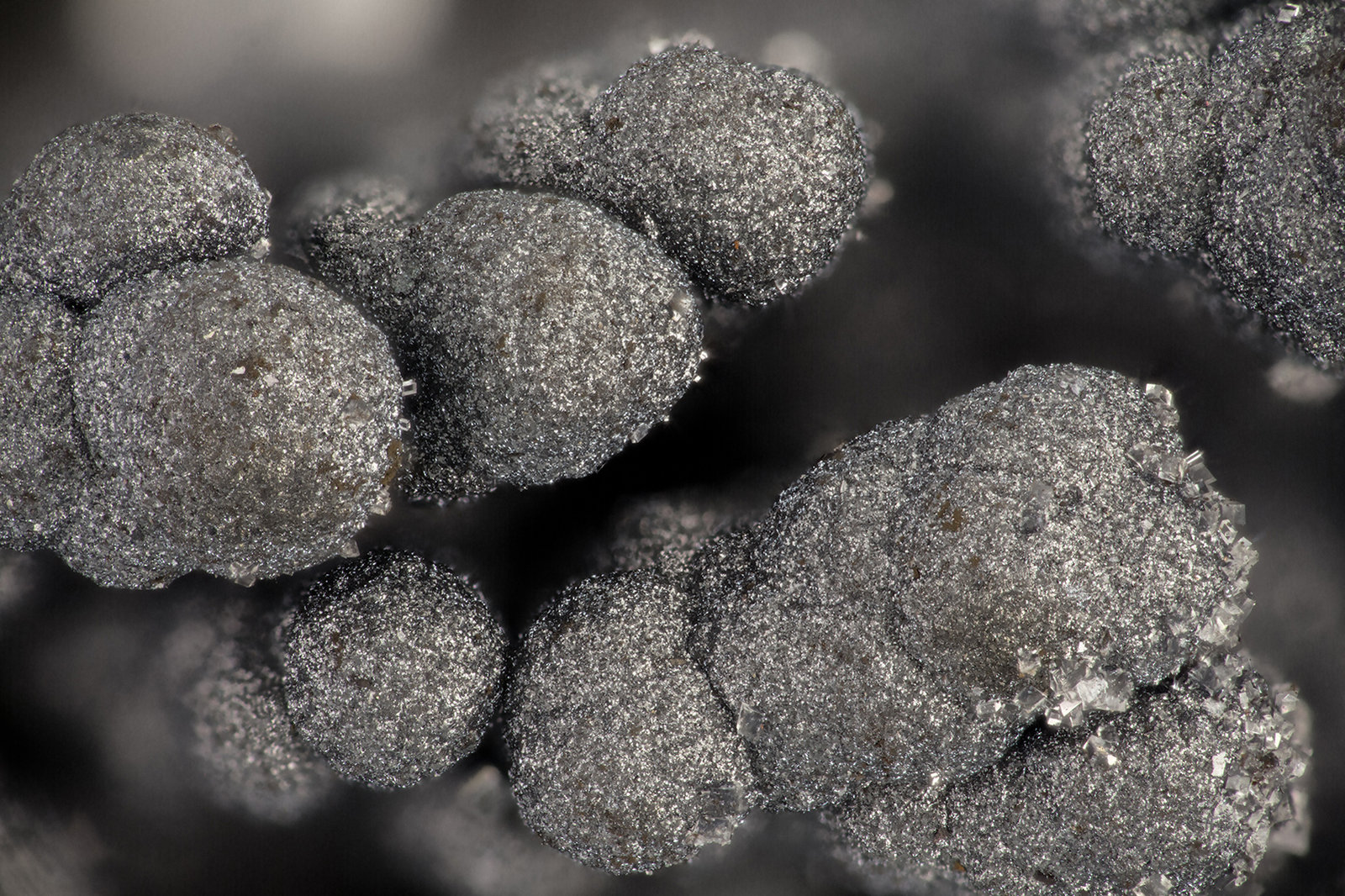 Coronadite
FOV = 3.8 mm
(Autor: Doug)