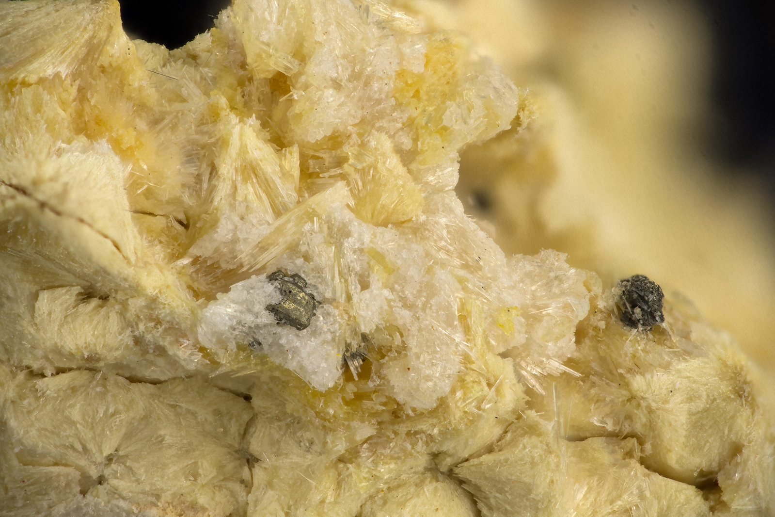 Carpholite
FOV = 3.7 mm
(Autor: Doug)