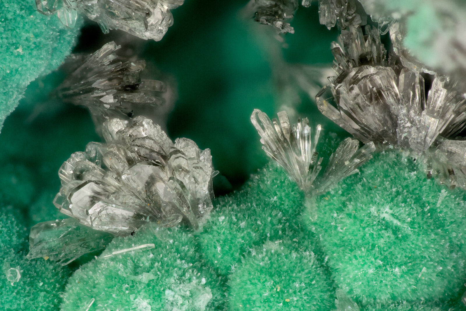Hemimorphite
FOV = 3.1 mm
(Autor: Doug)