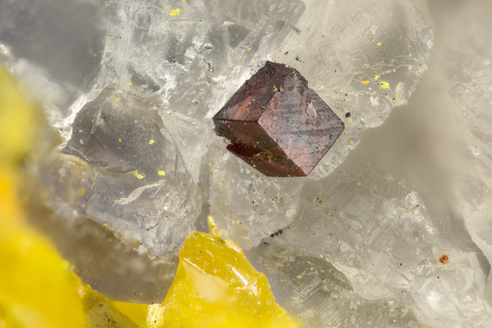 Galkhaite
FOV = 1.1 mm
(Autor: Doug)